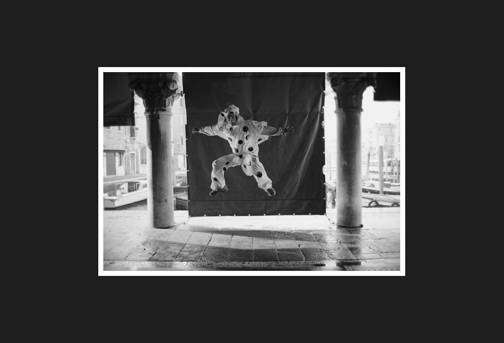 Playful Dalmatia, 2003