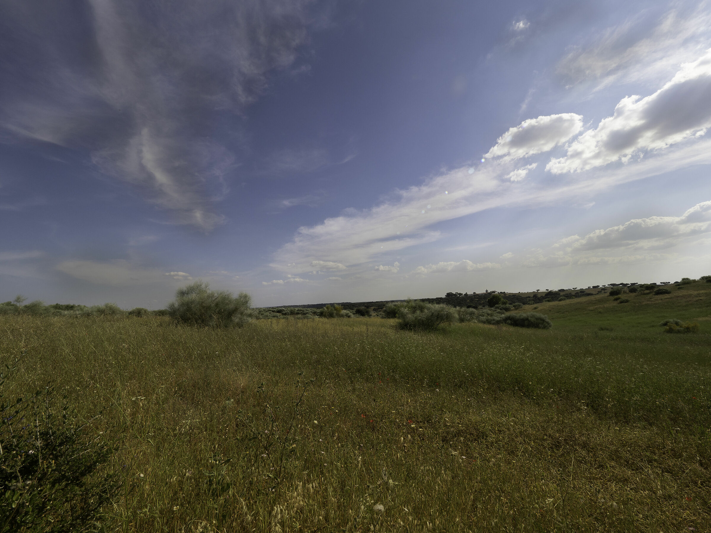 Panorama Alentejano Portugal