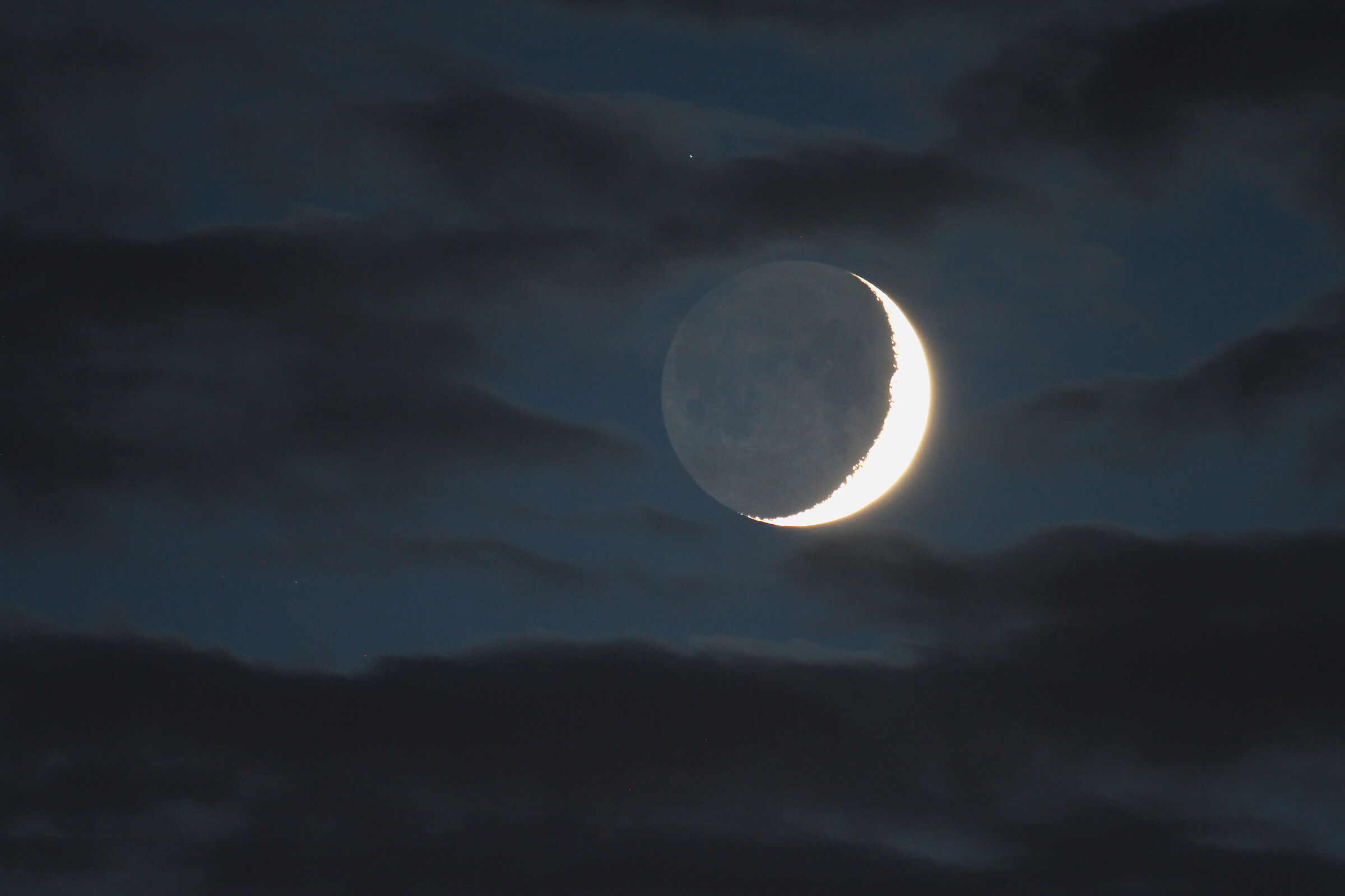 Luna cinerea in congiunzione con Sigma Leonis