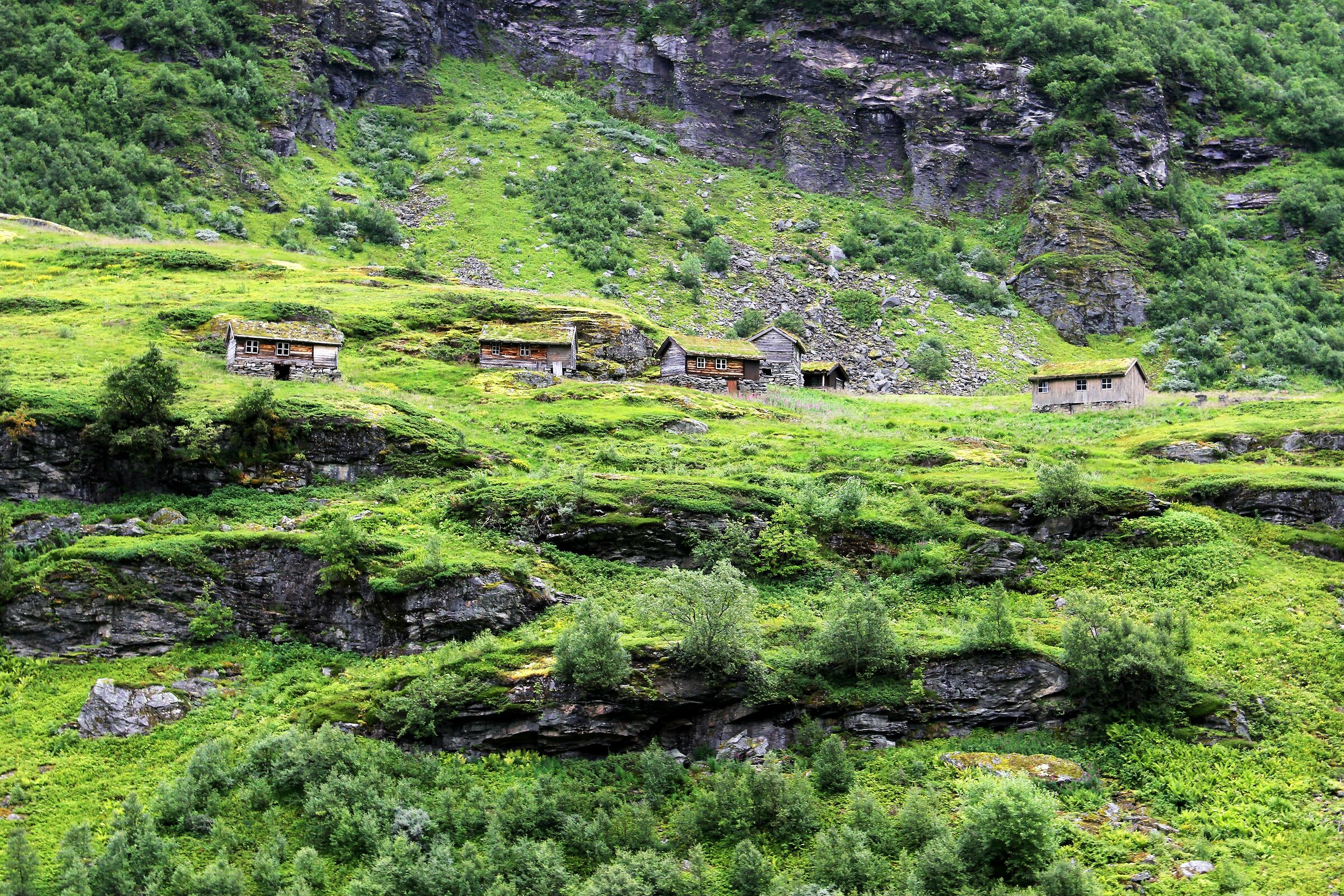 Norvegia-Case di un antico villaggio