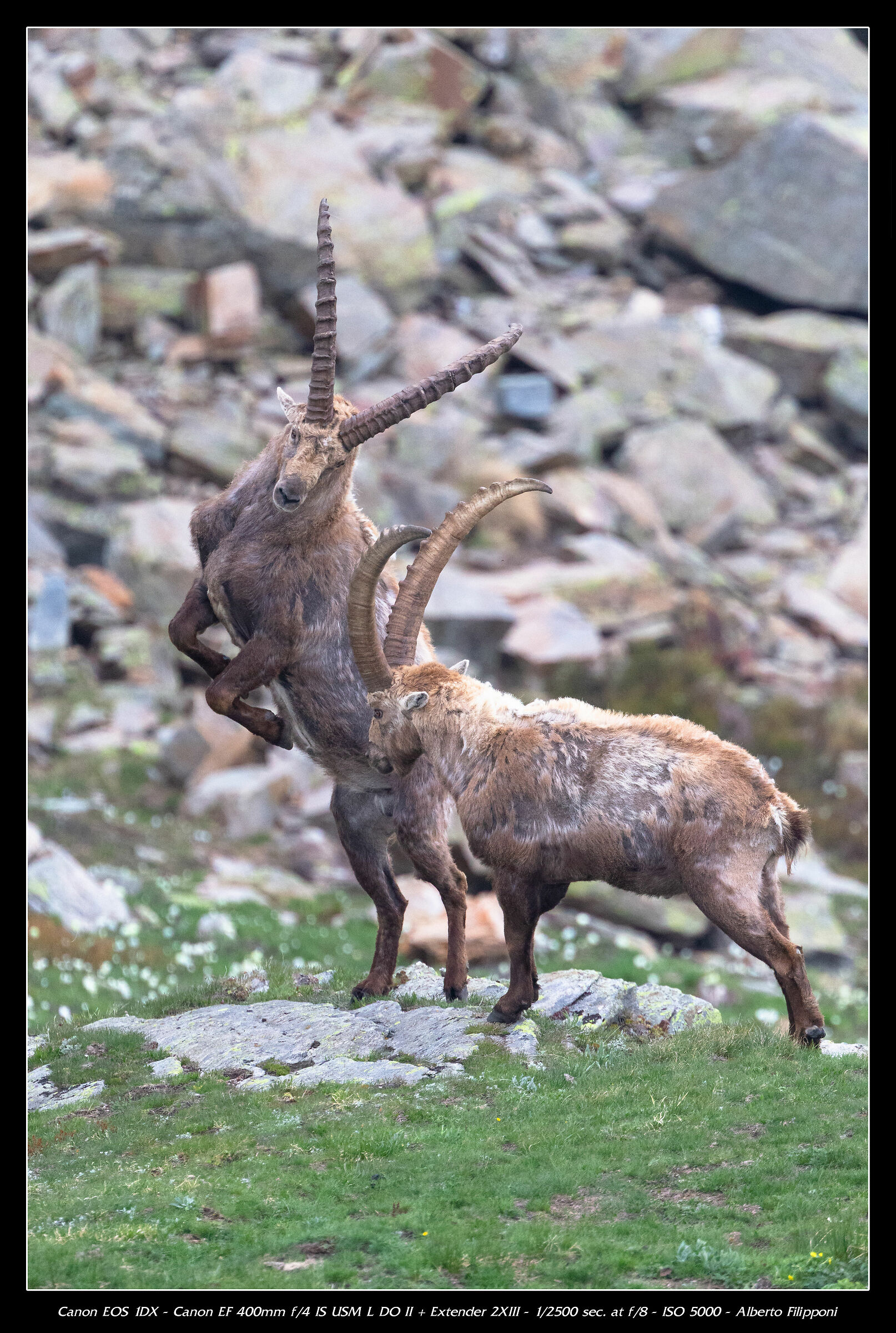 Giochi ad alta quota