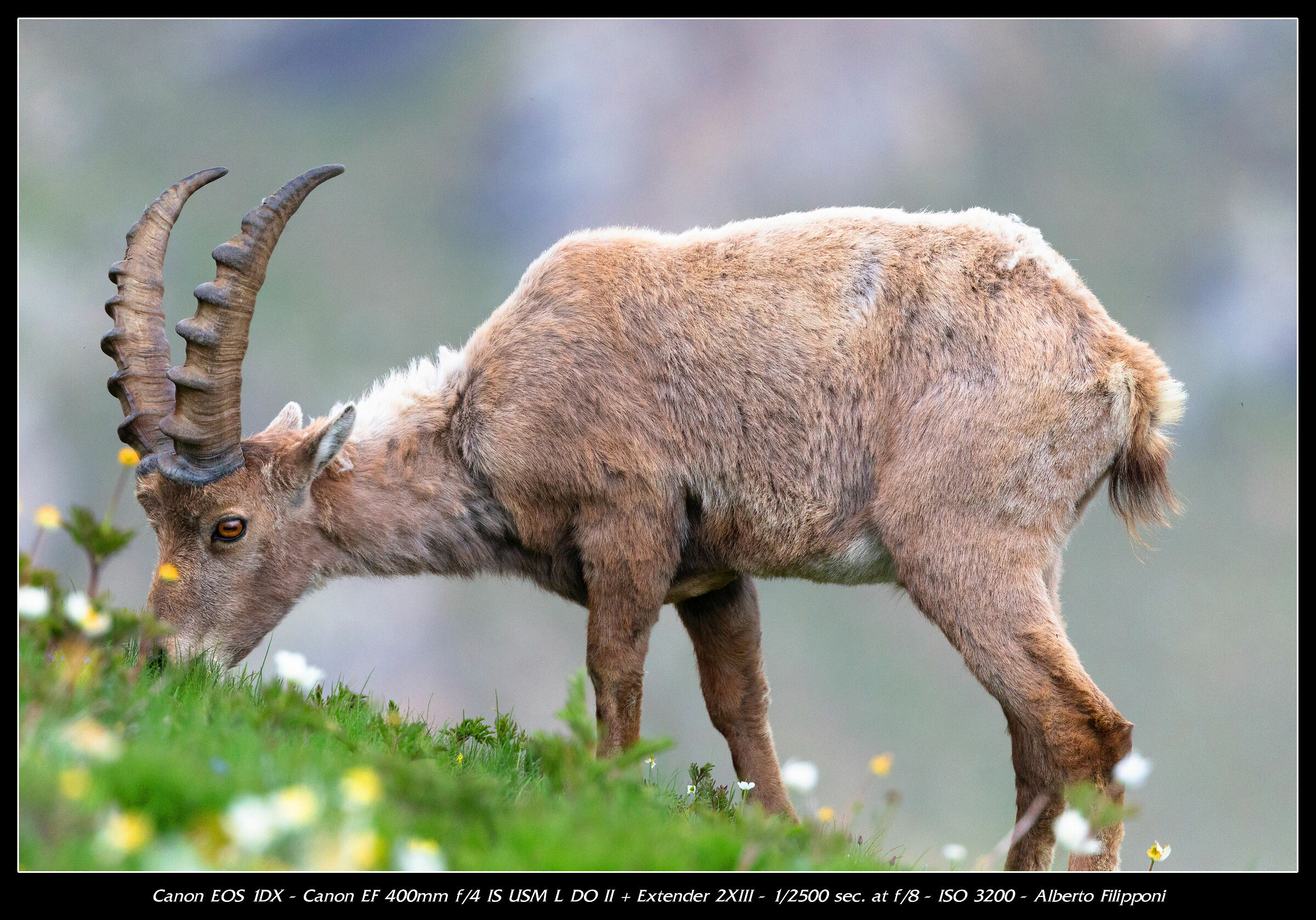 Sosta prima di raggiungere le alte praterie