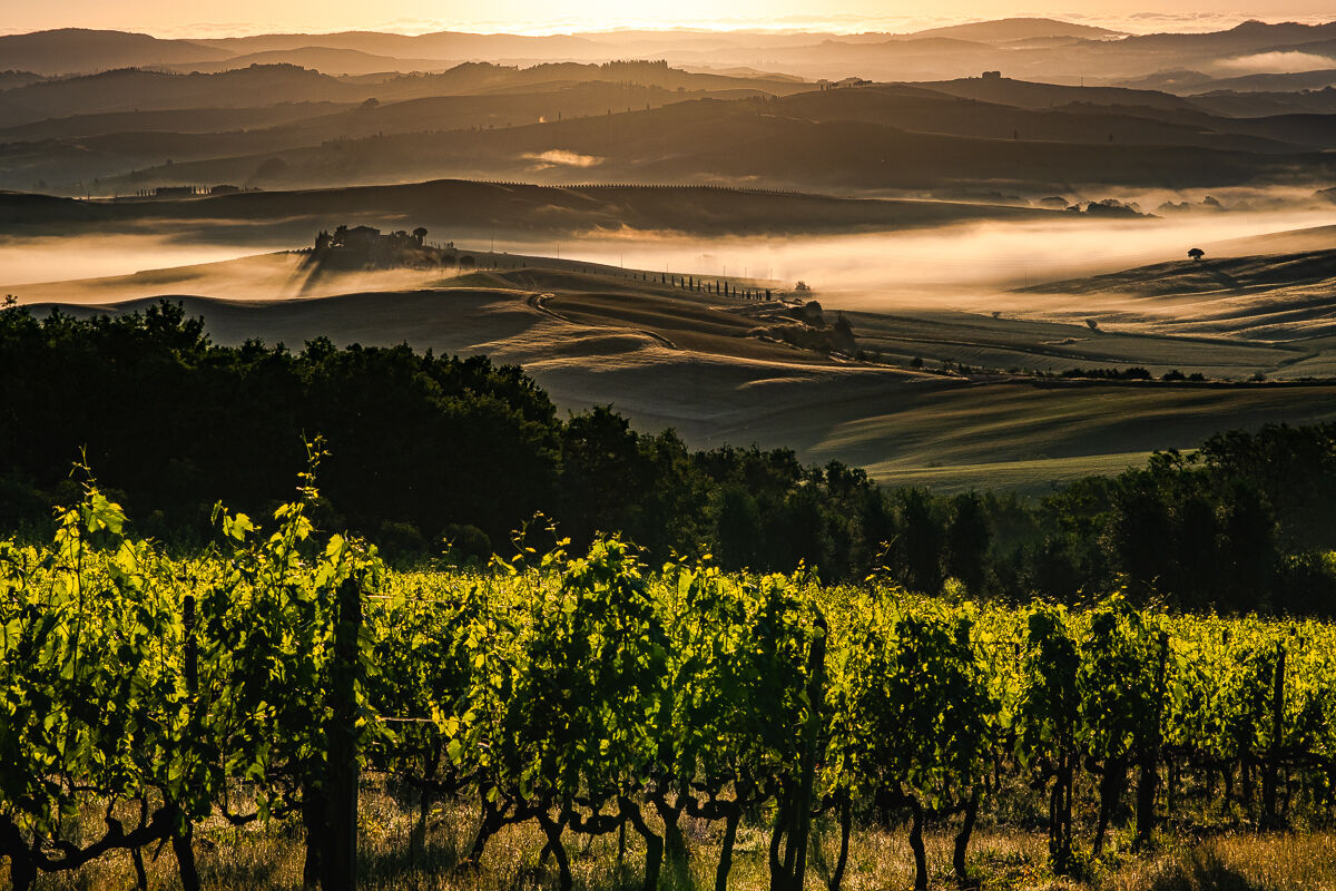Summary of Montalcino