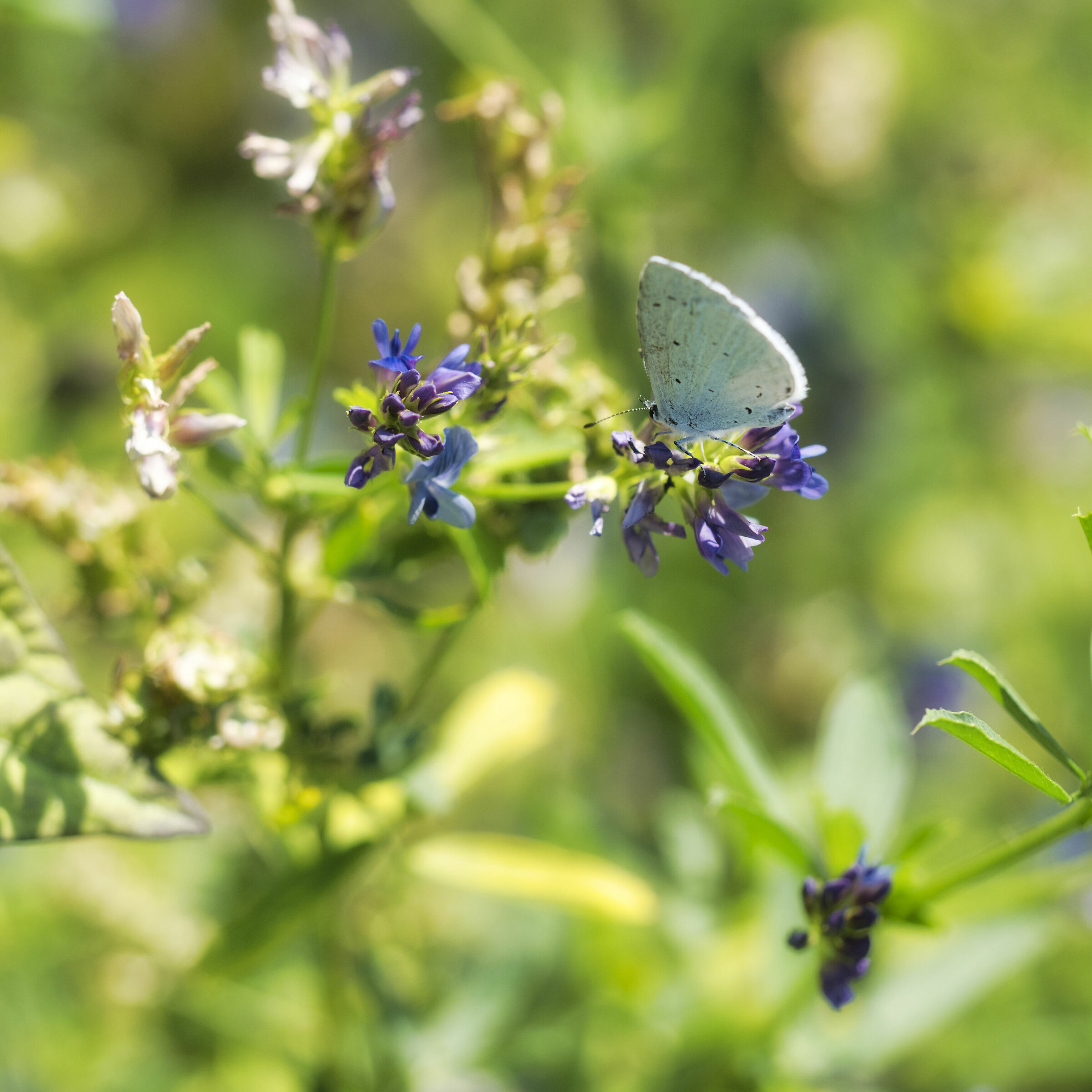 First post-quarantine photograph