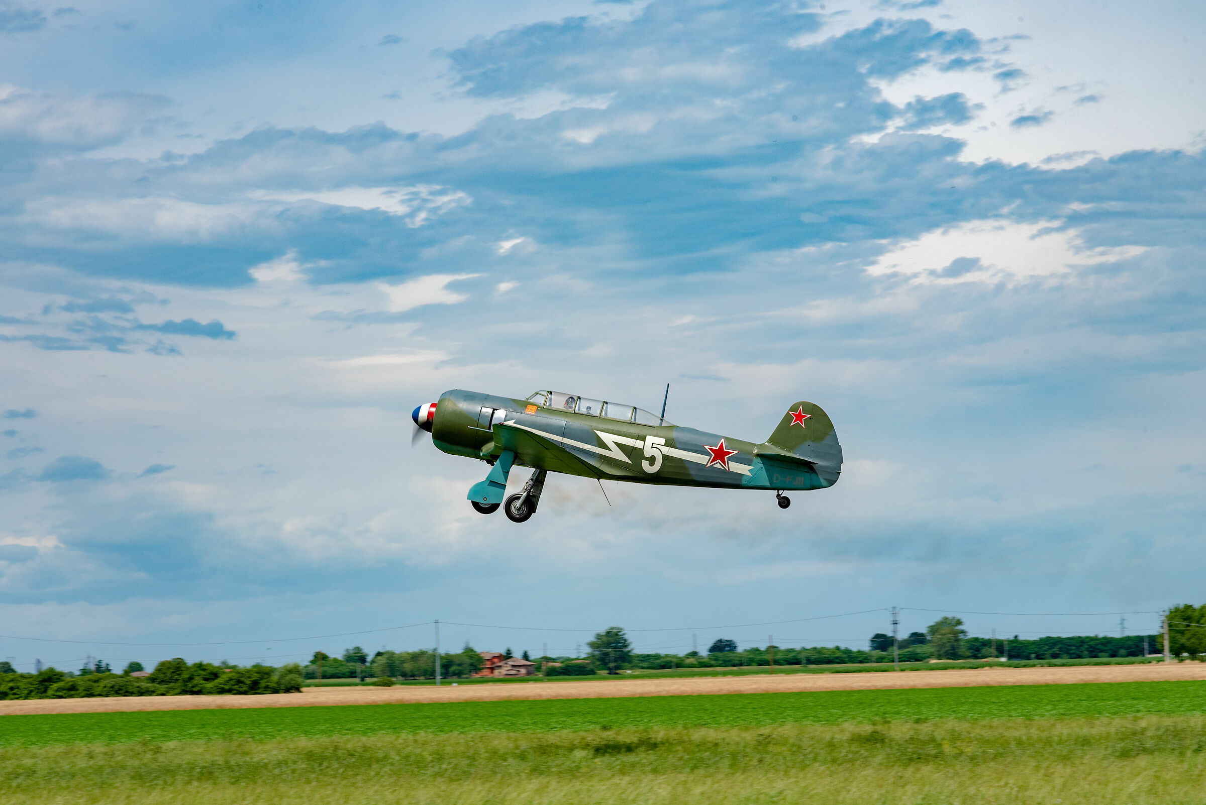 Yak in flight