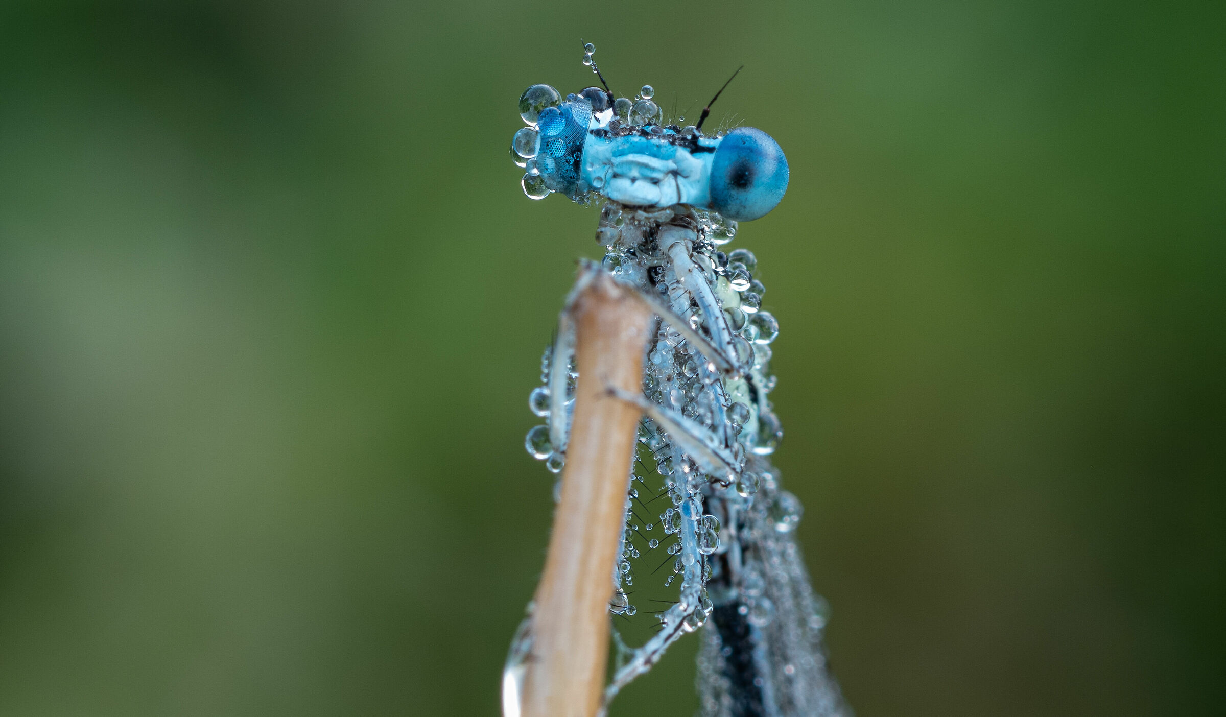 ... mi bastavano altri 3 secondi