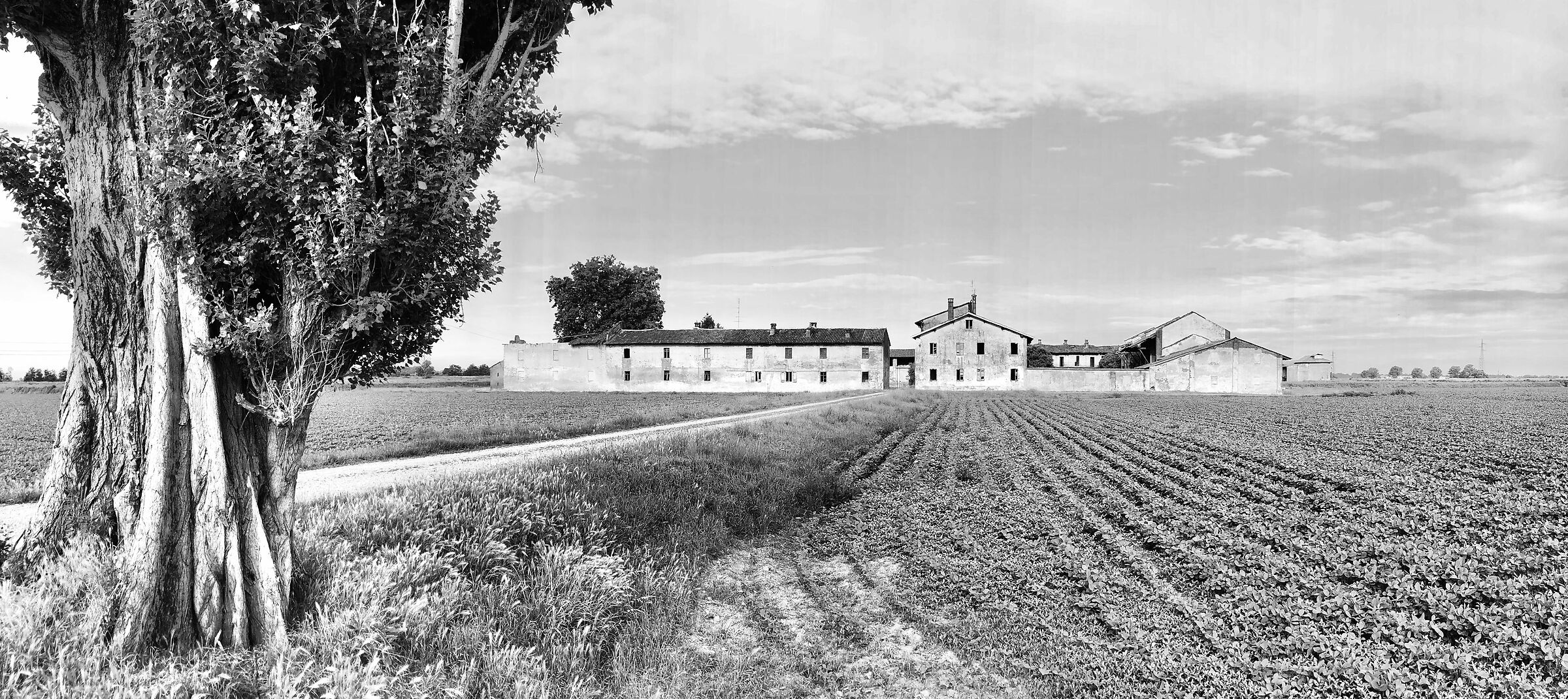 Trecatese Farmhouse