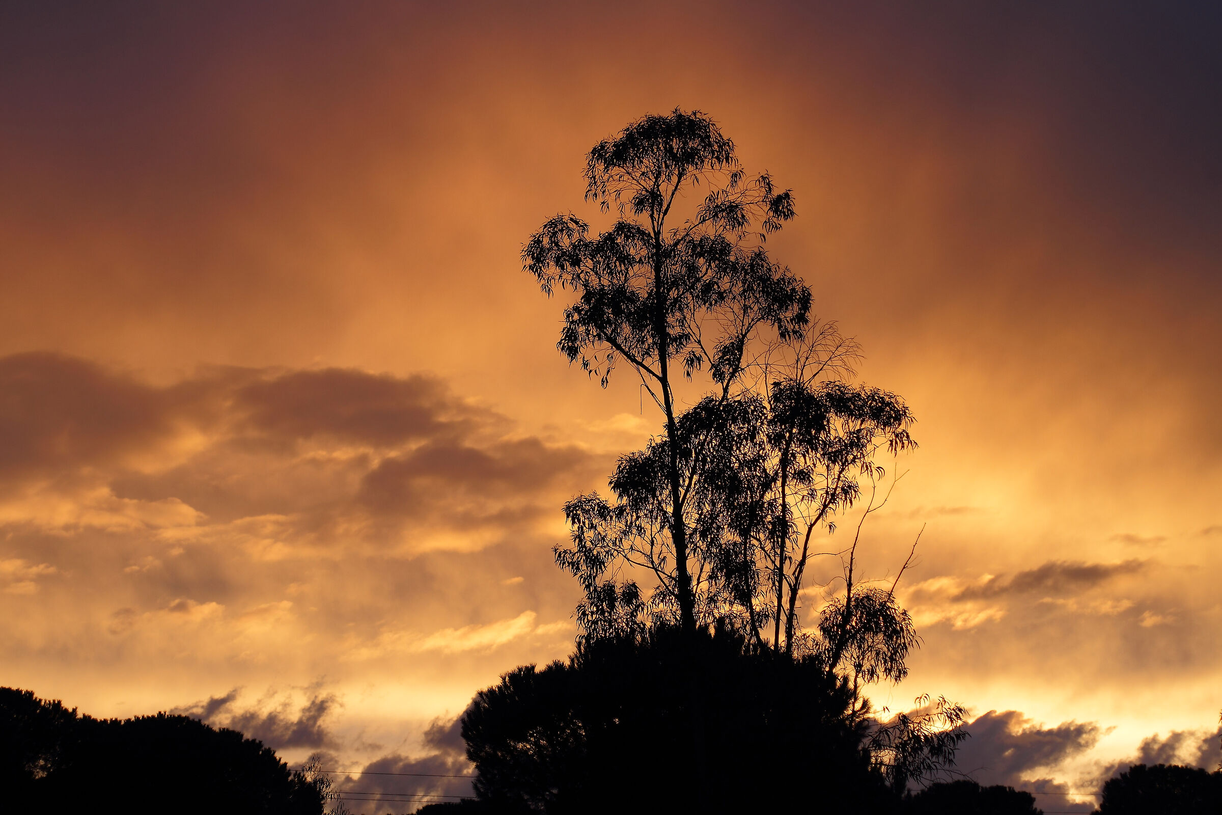 Después de la tormenta