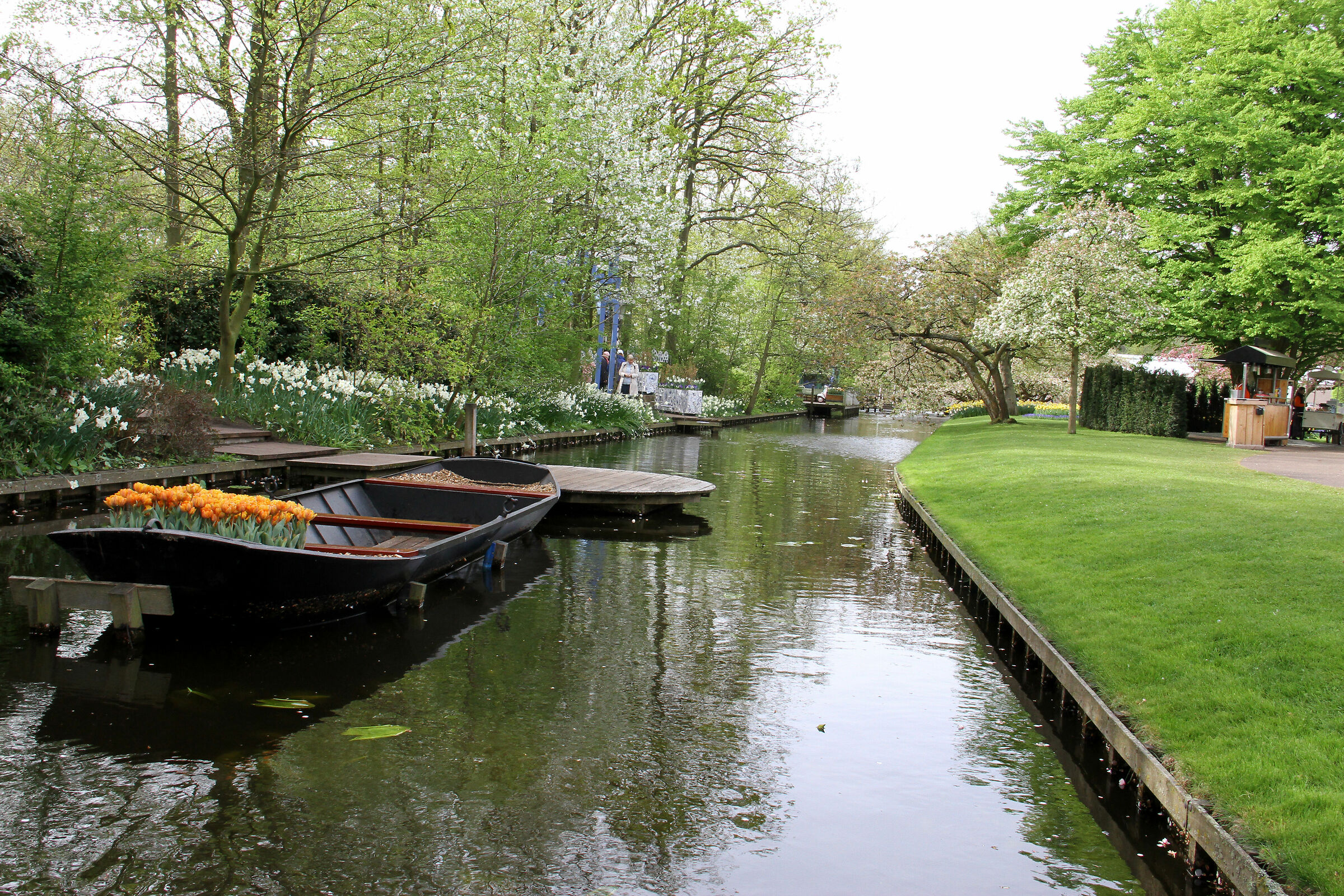 Parco di Keukenhof, vicino alla città di Lisse, Oland...