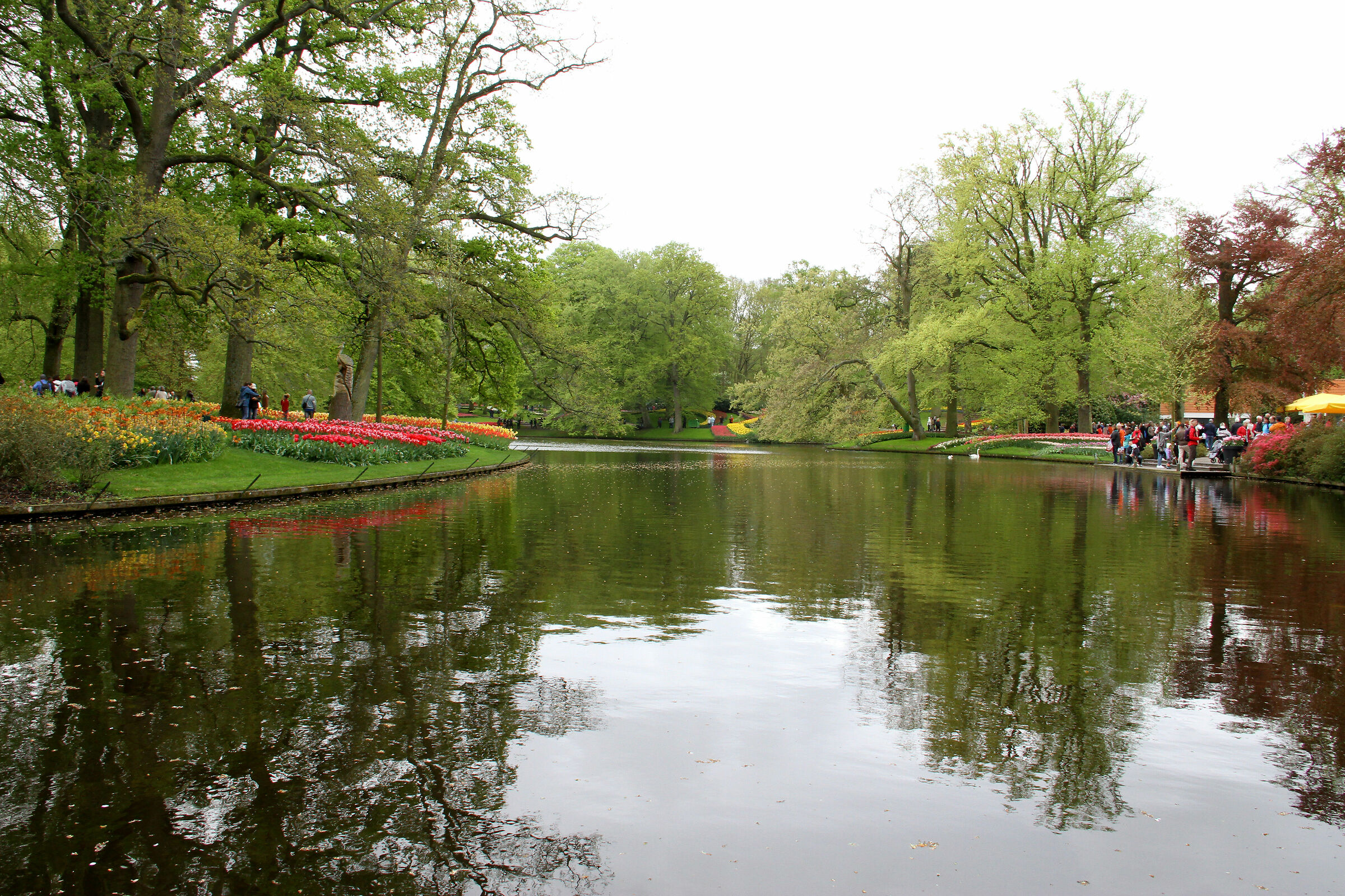 Parco di Keukenhof, vicino alla città di Lisse, Oland...