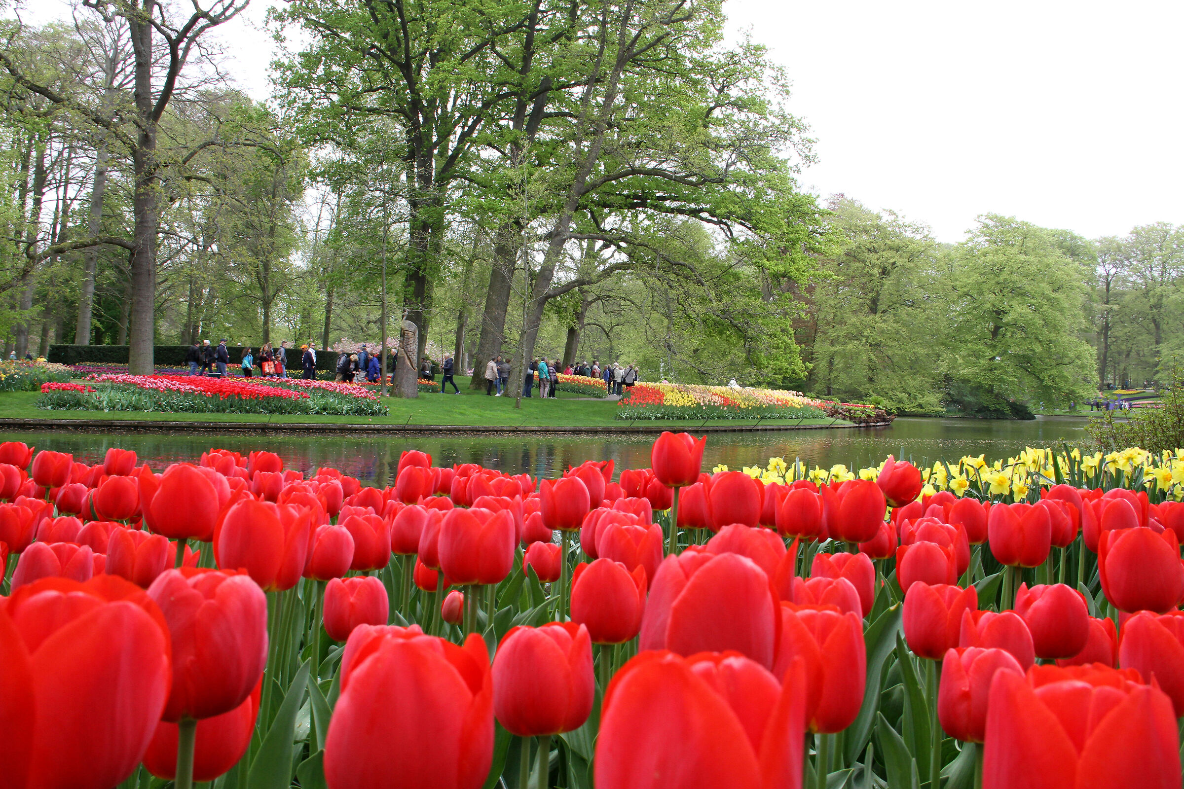 Parco di Keukenhof, vicino alla città di Lisse, Oland...