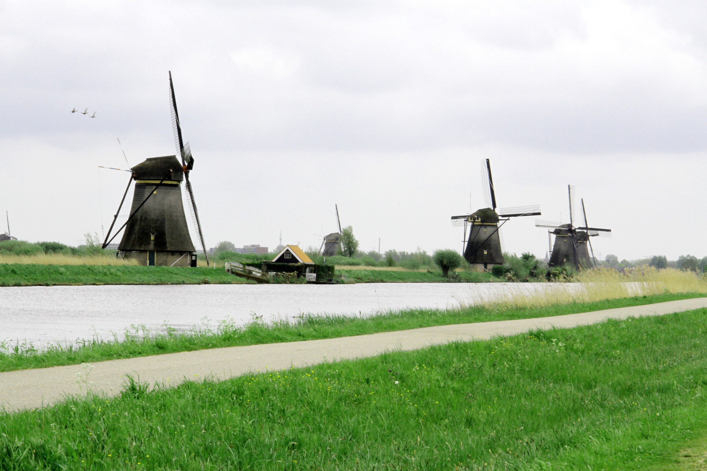 Mulini a Kinderdijk, località olandese vicno Rotterda...