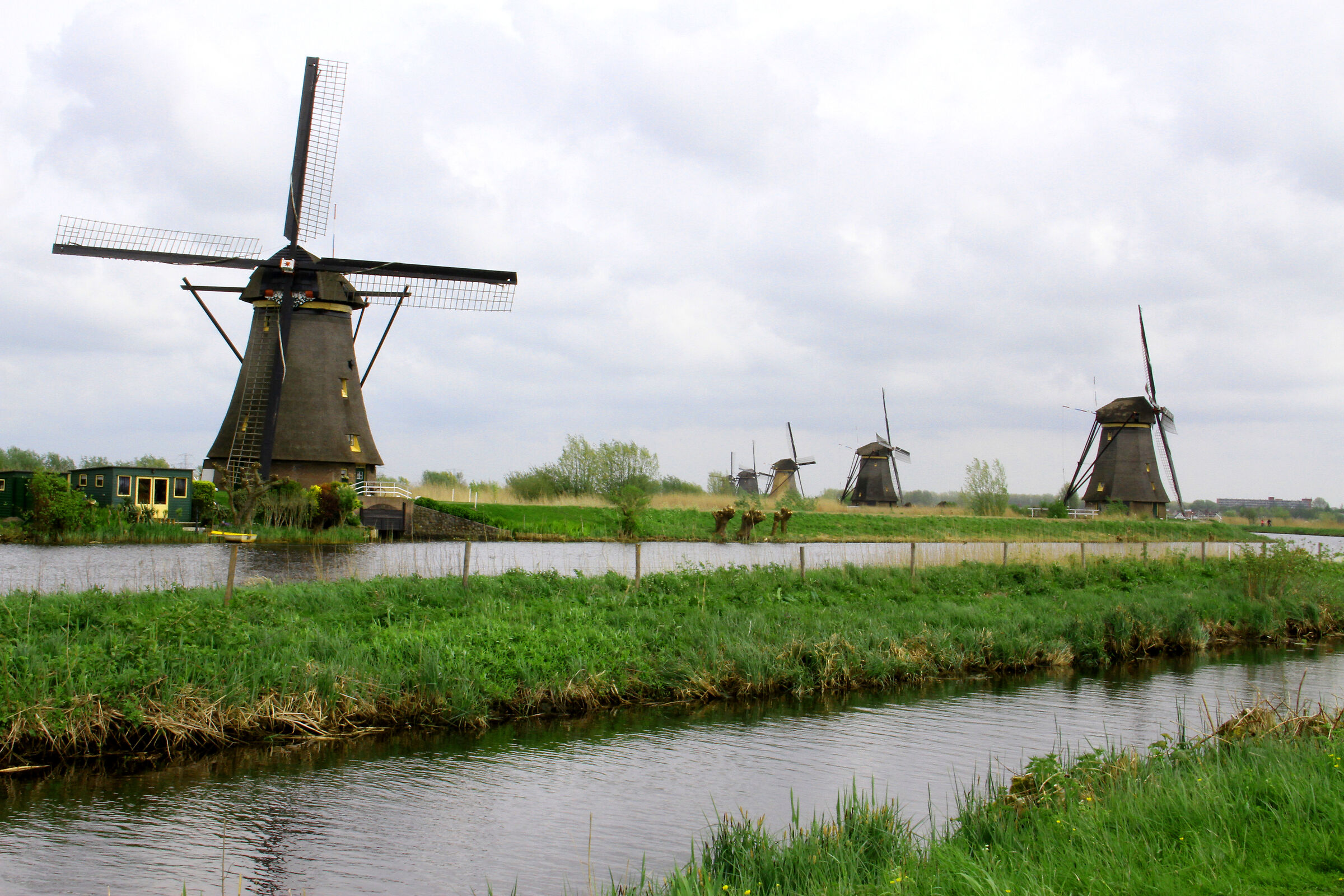 Mulini a Kinderdijk, località olandese vicino Rotterd...