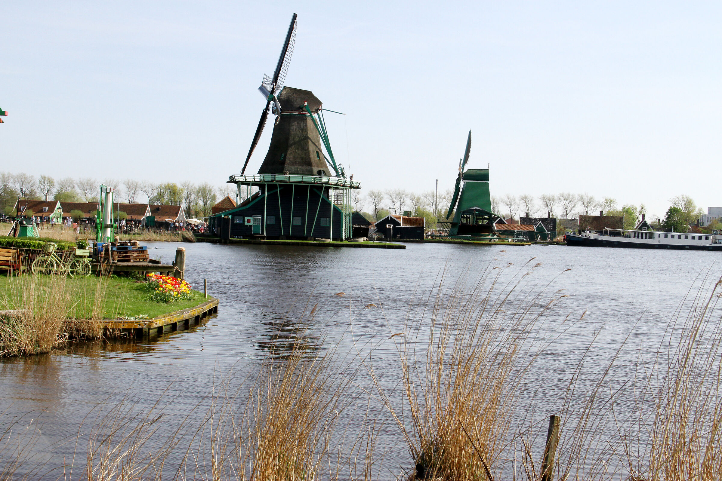 Mulini a Zaanse Schanse, località vicono Amsterdam