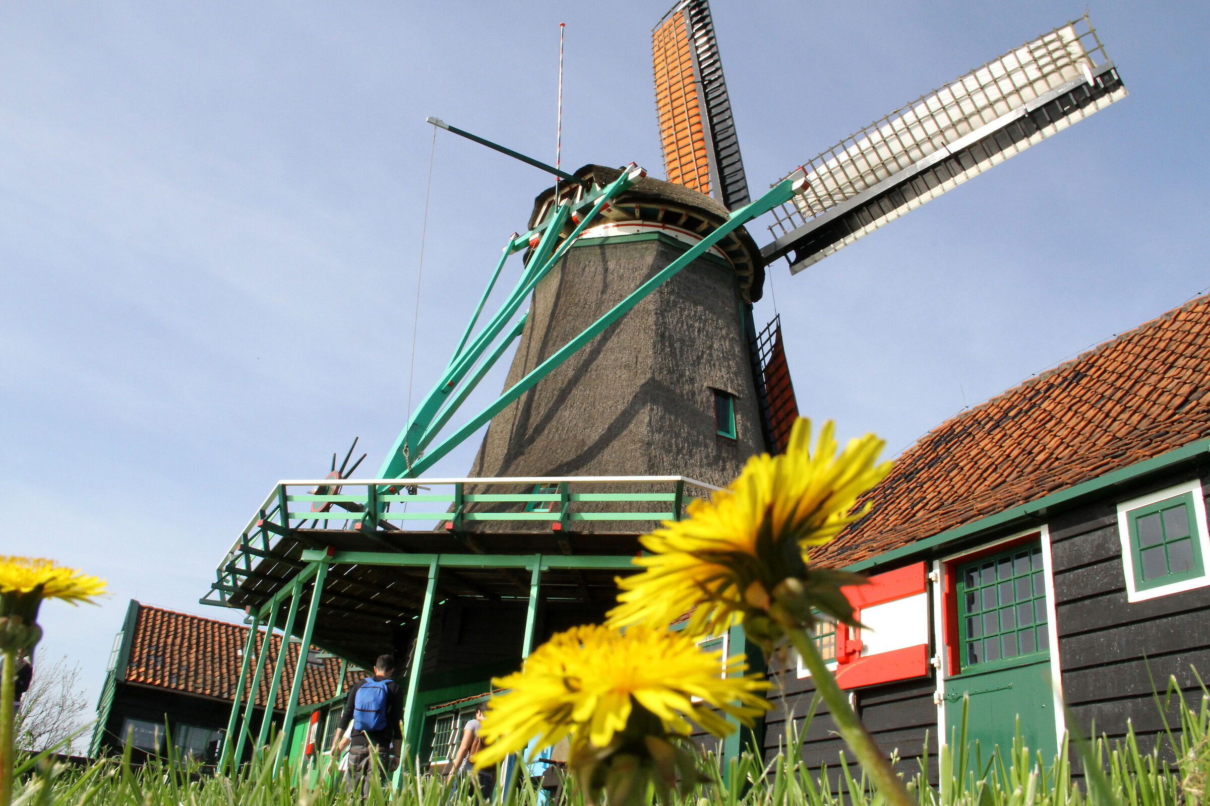 Mulini a Zaanse Schanse, località vicono Amsterdam