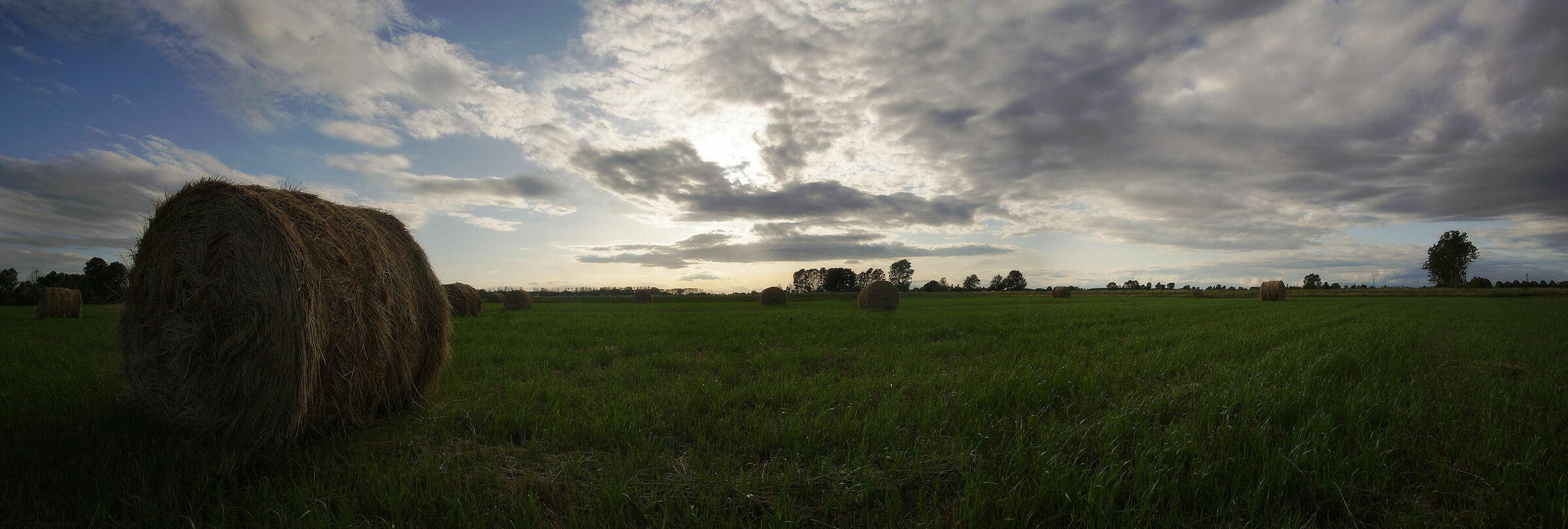 Hay Bales, New York