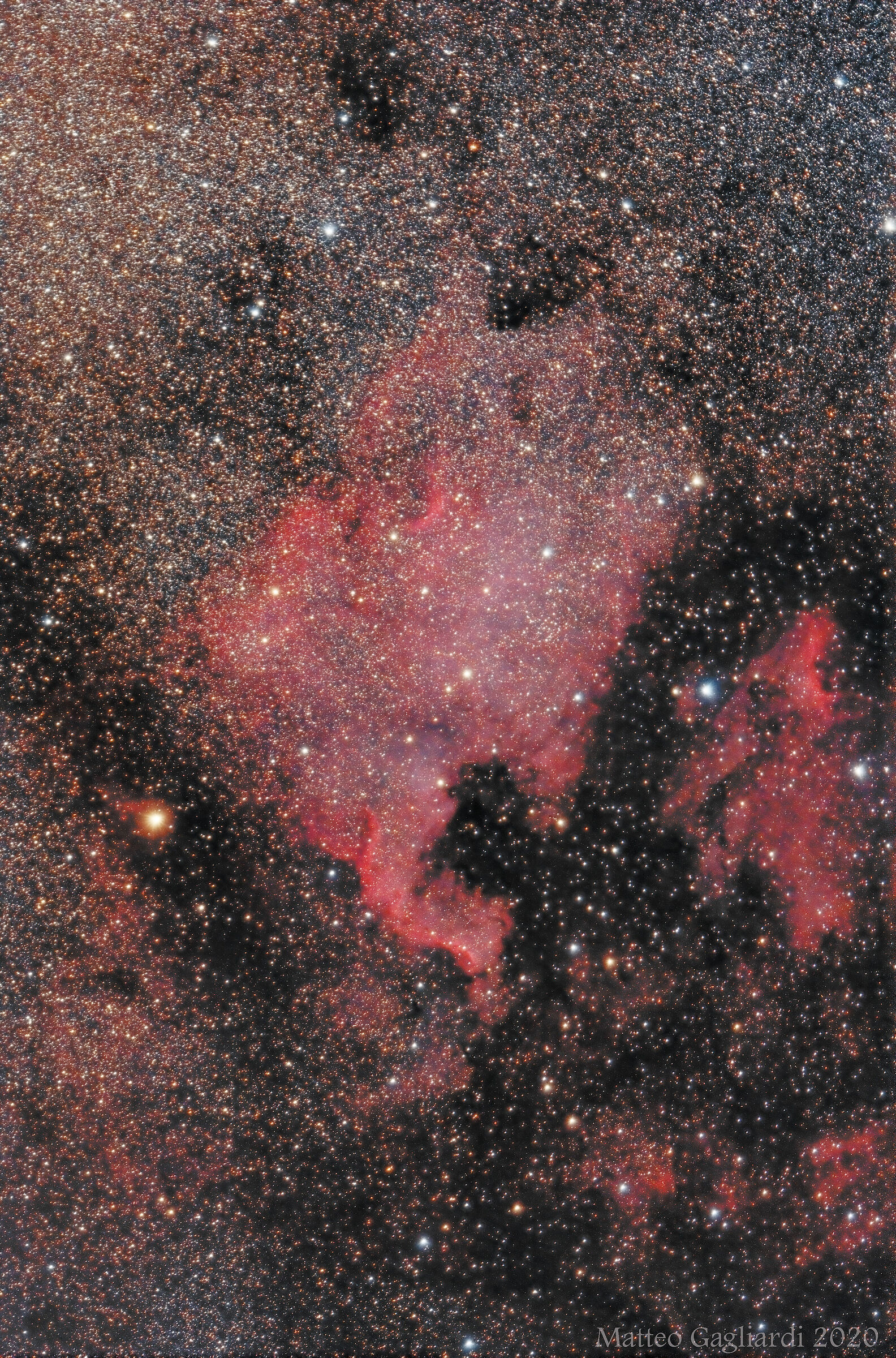 Nebulosa Nord America - ngc7000