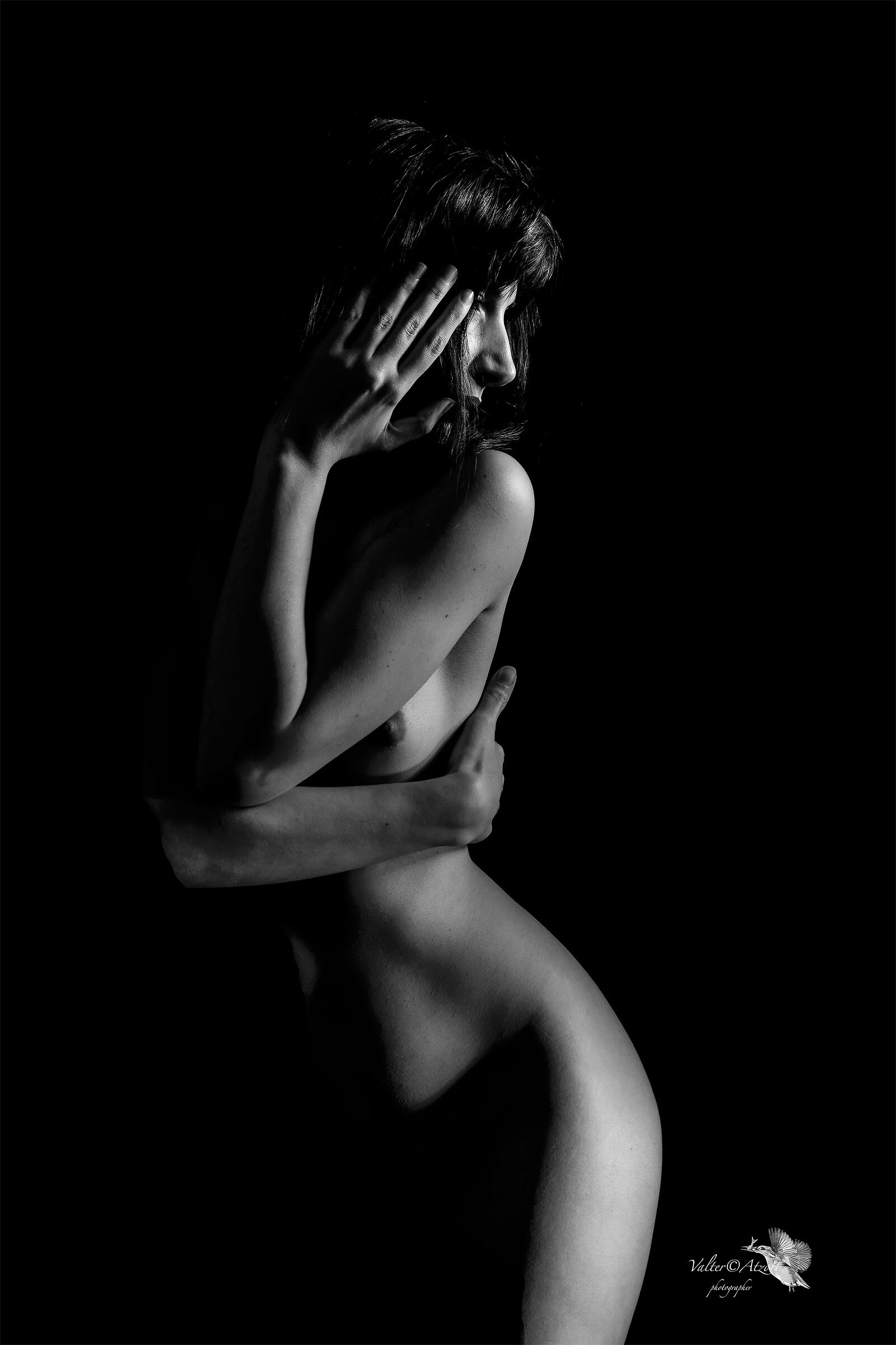 Untitled Photo
