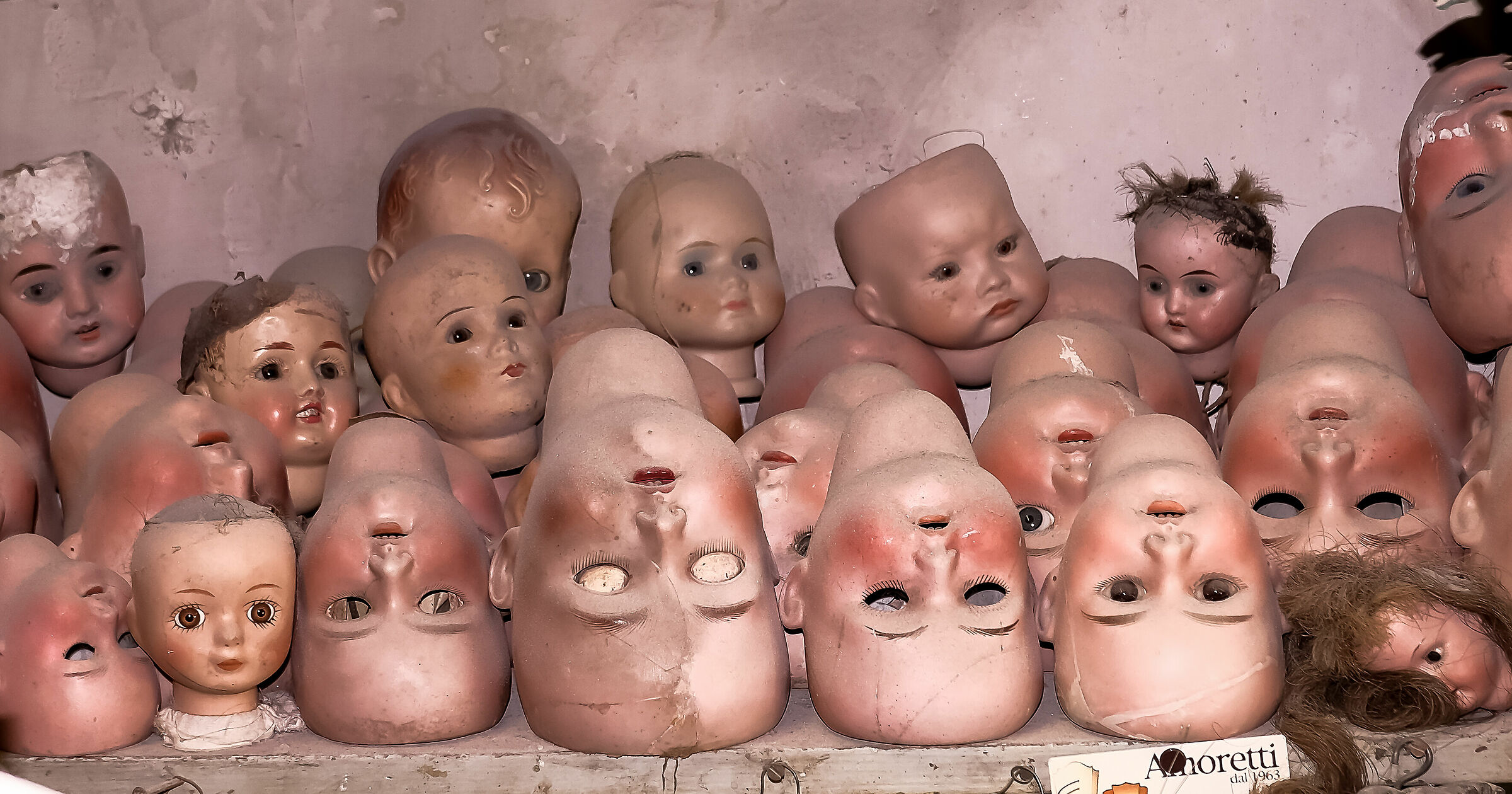 La bottega del terrore..