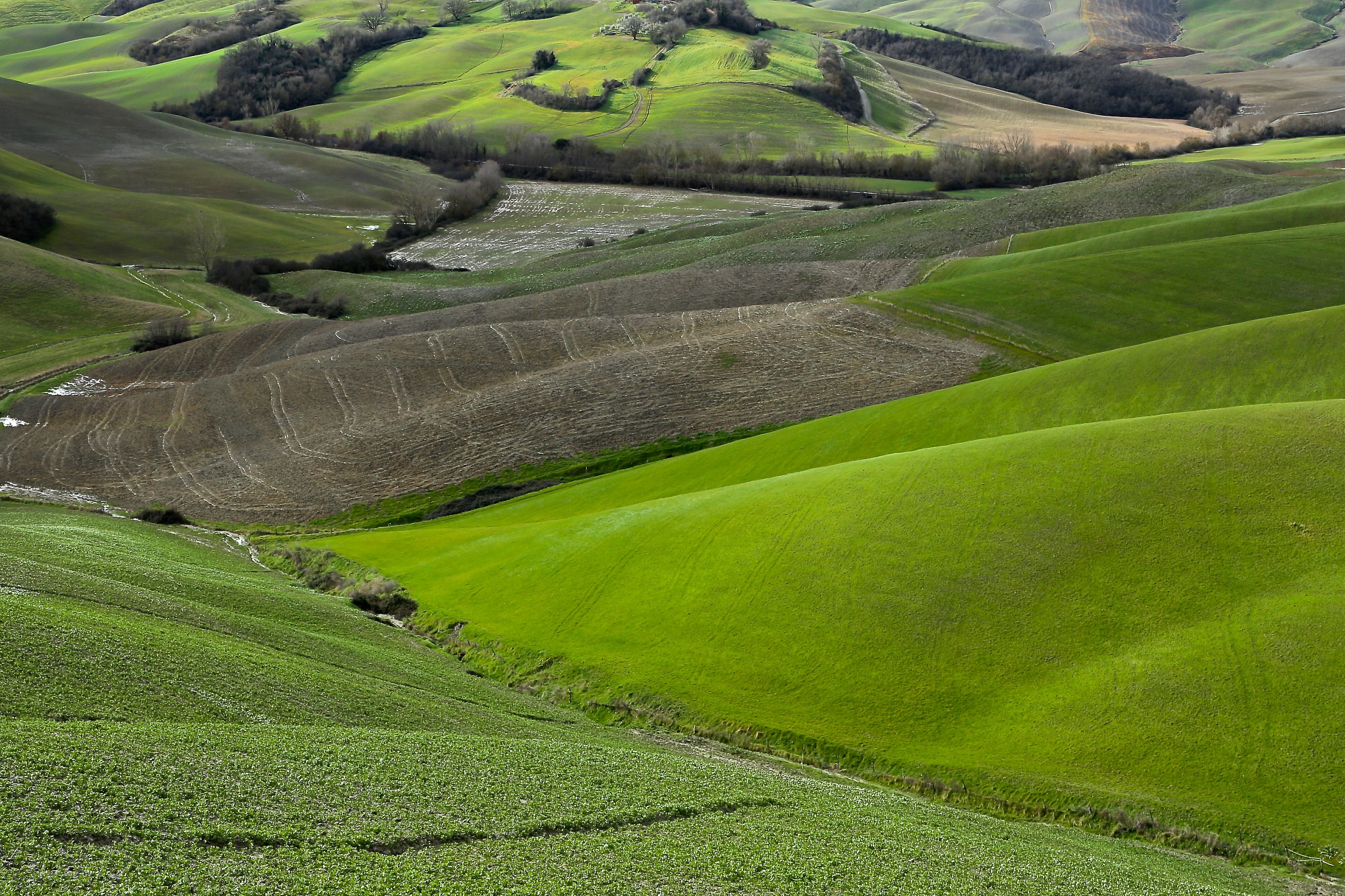 crete senesi