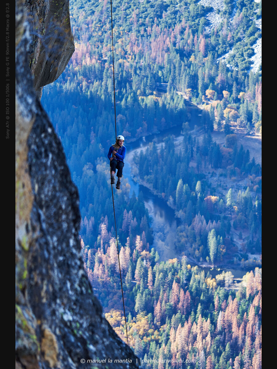 Tobey at Taft Point