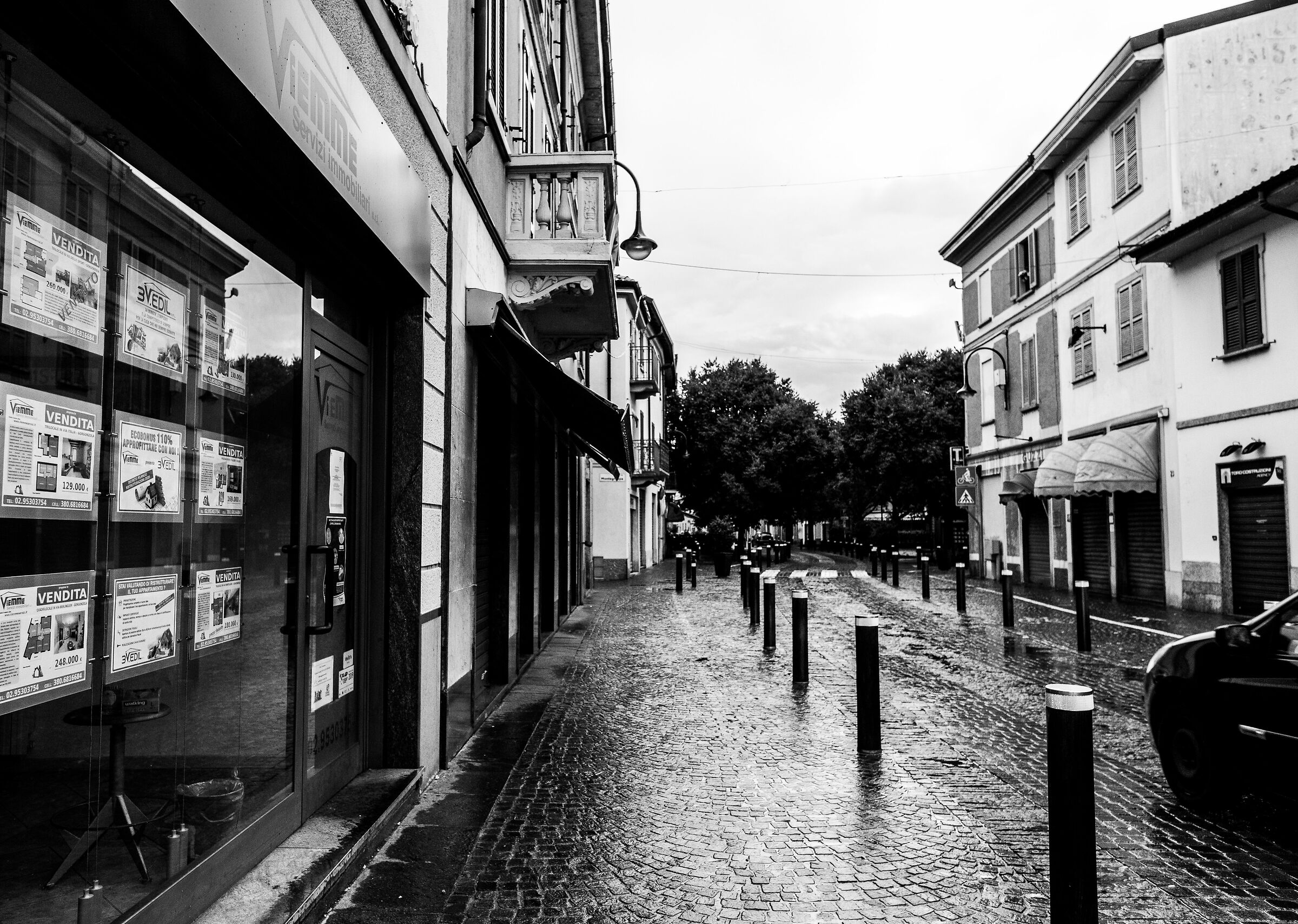 Al passeggio dopo la pioggia