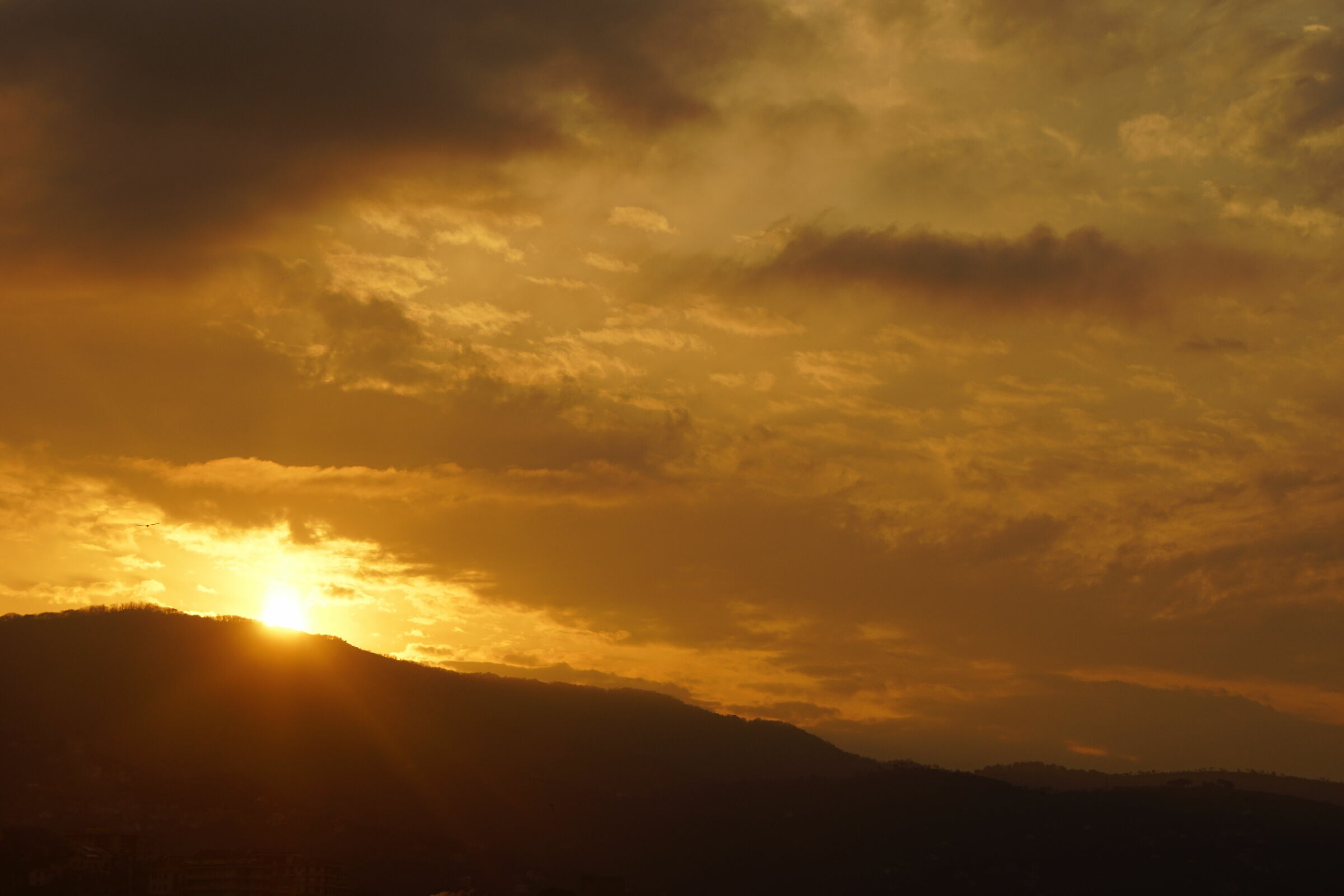 Untitled Photo