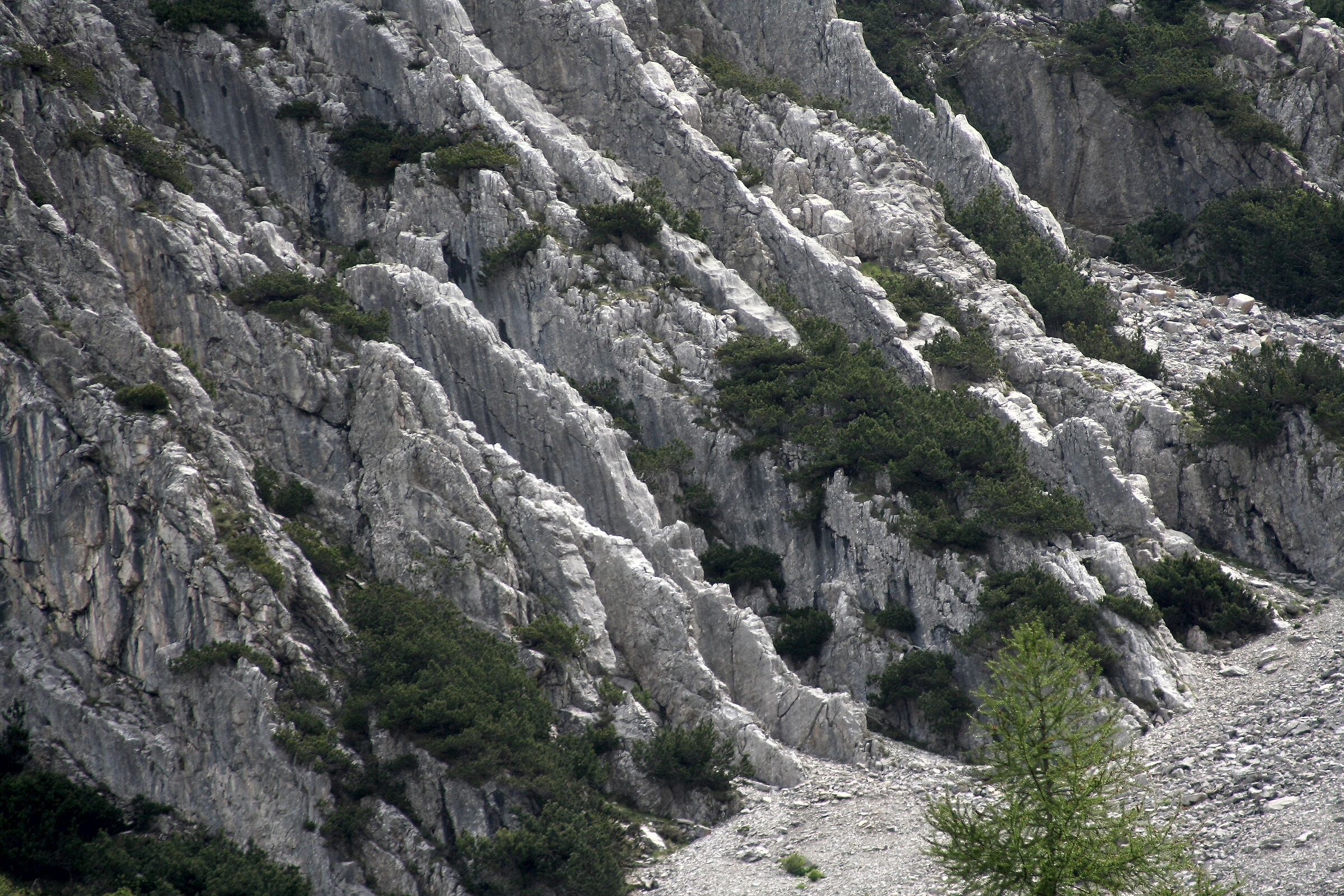 Geology of the Brenta Group (Val d'Algone)