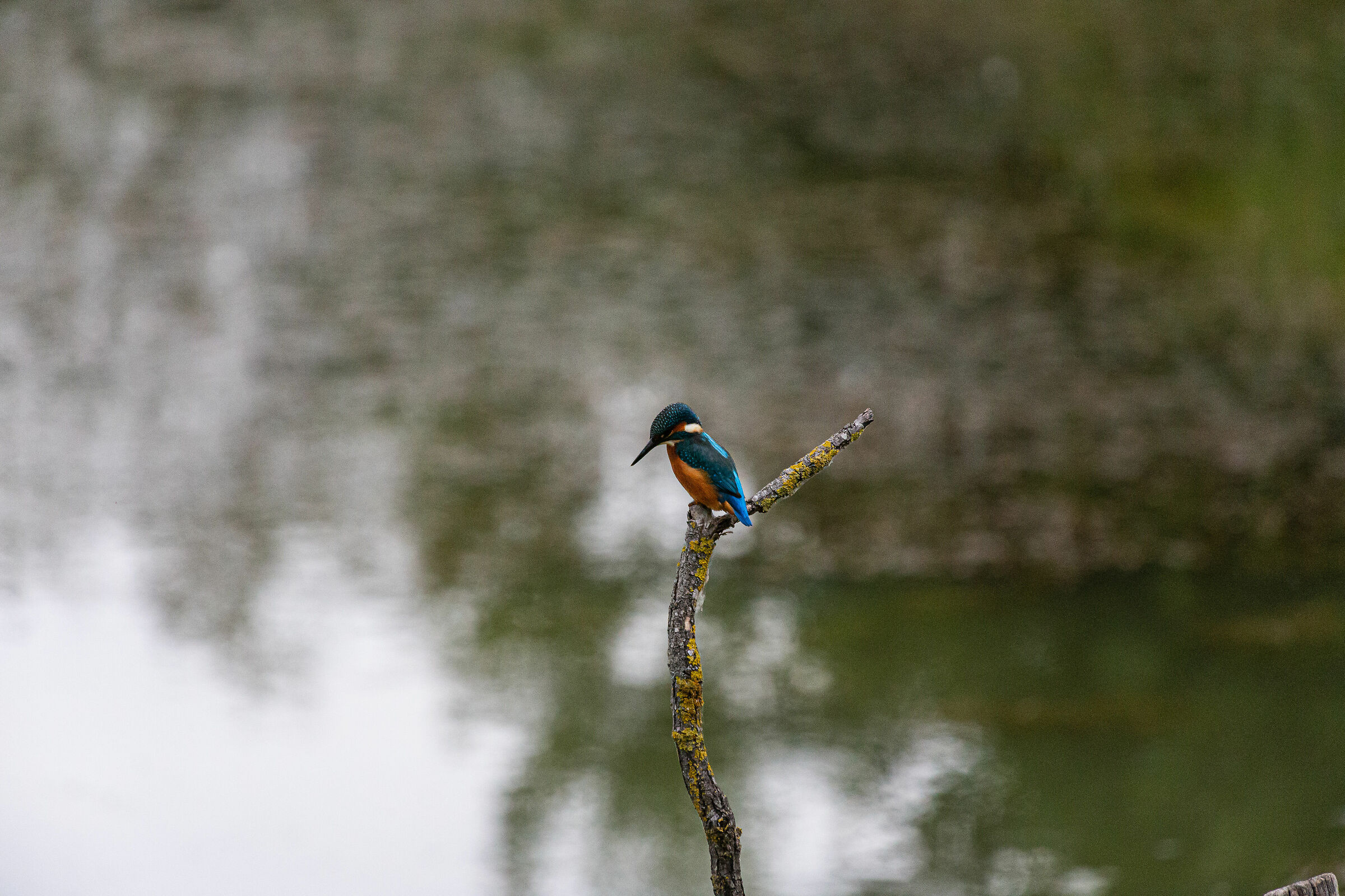 What am I going to do today?