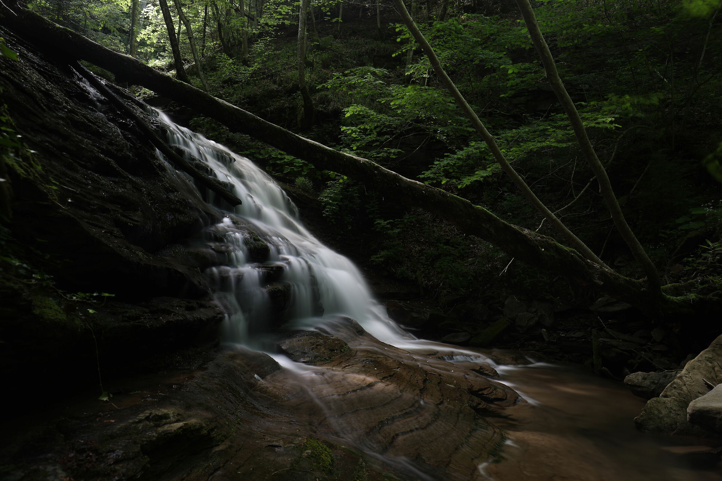 Casentinese Forest National Park