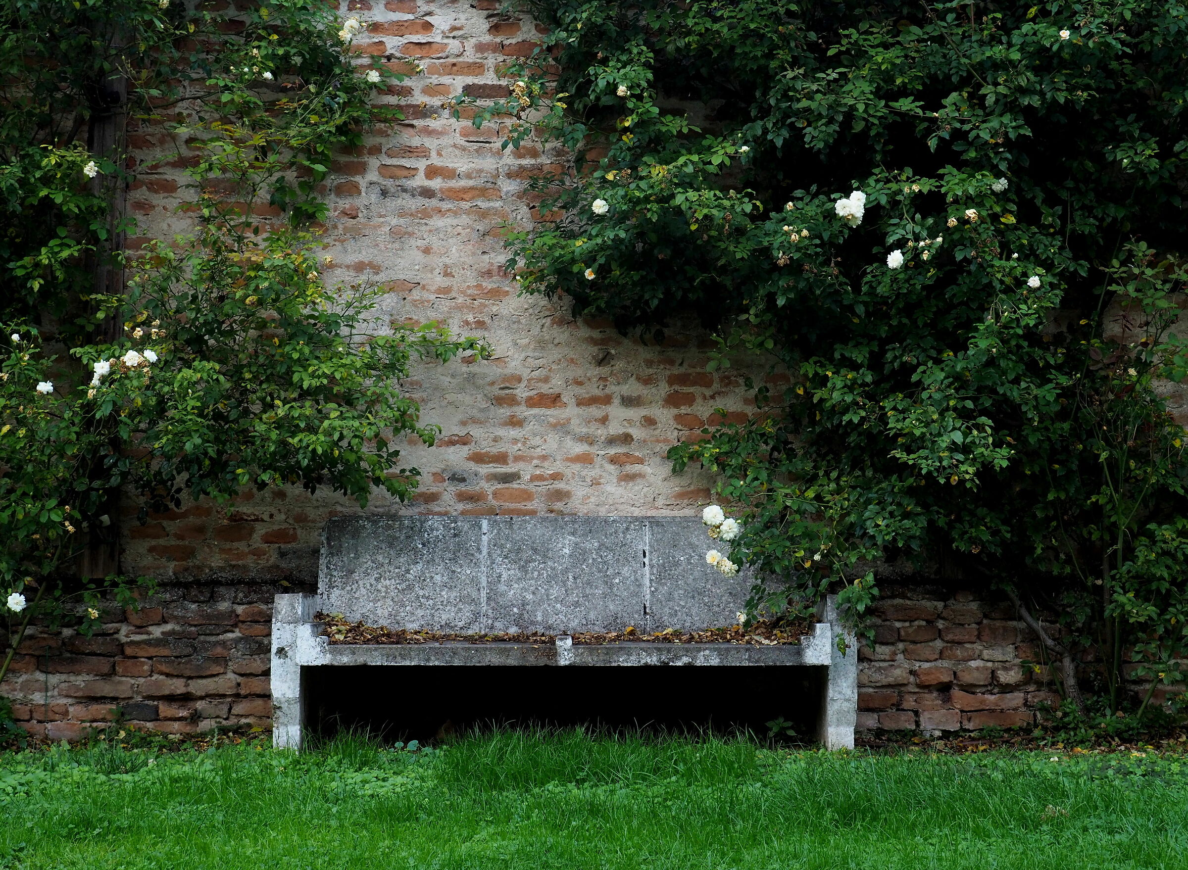 The bench