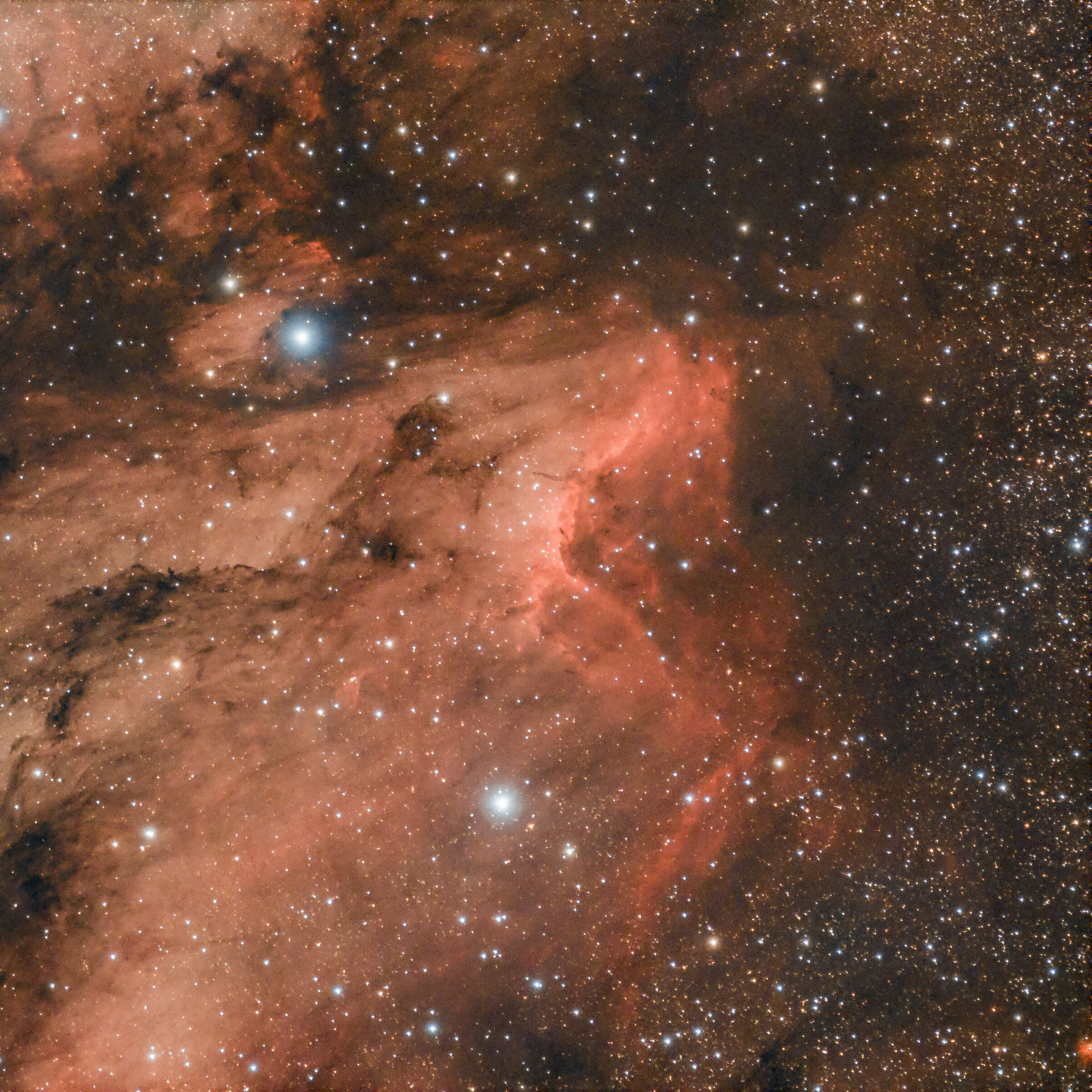 IC5070 - Pelican Nebula
