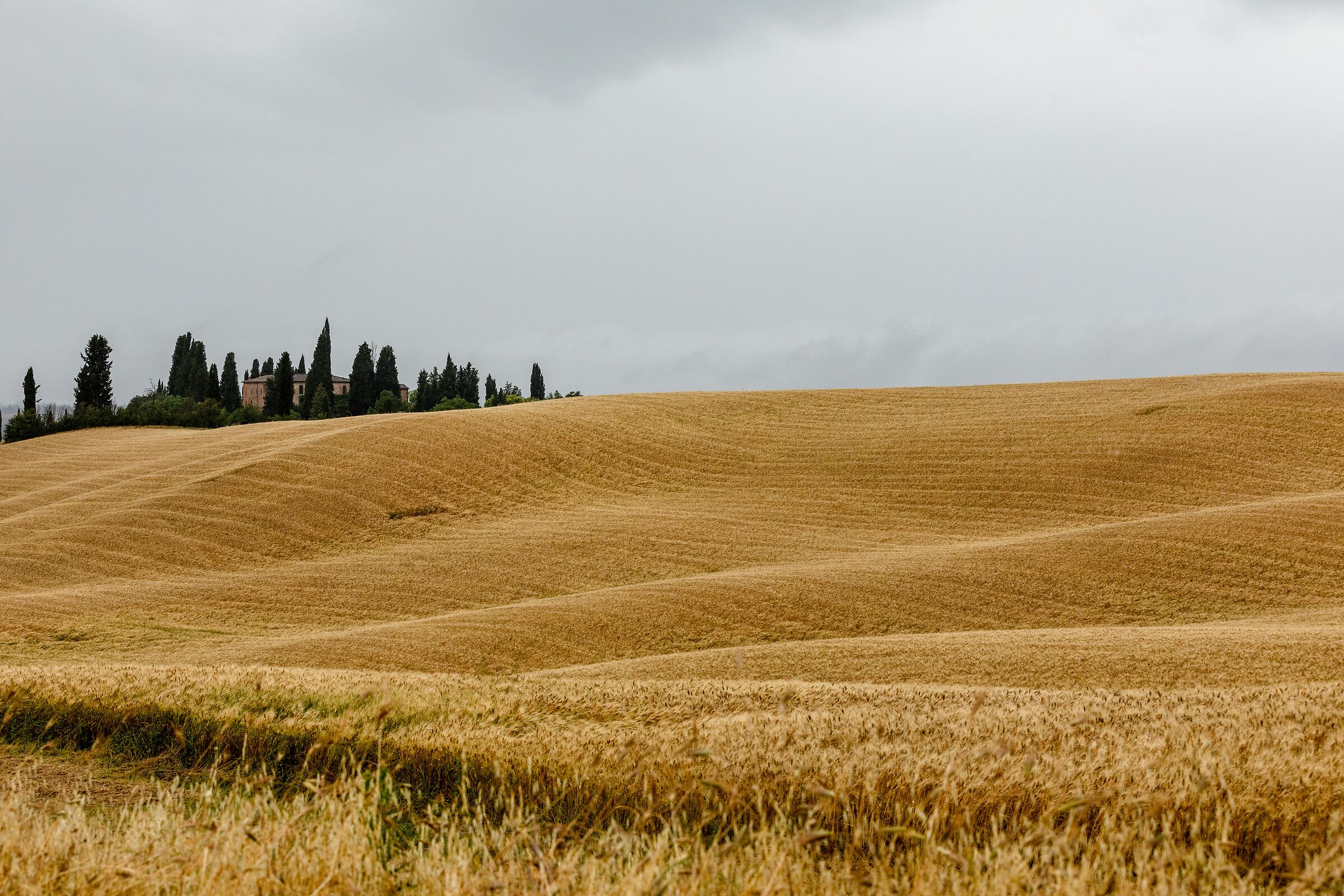 Asciano - Le crete senesi