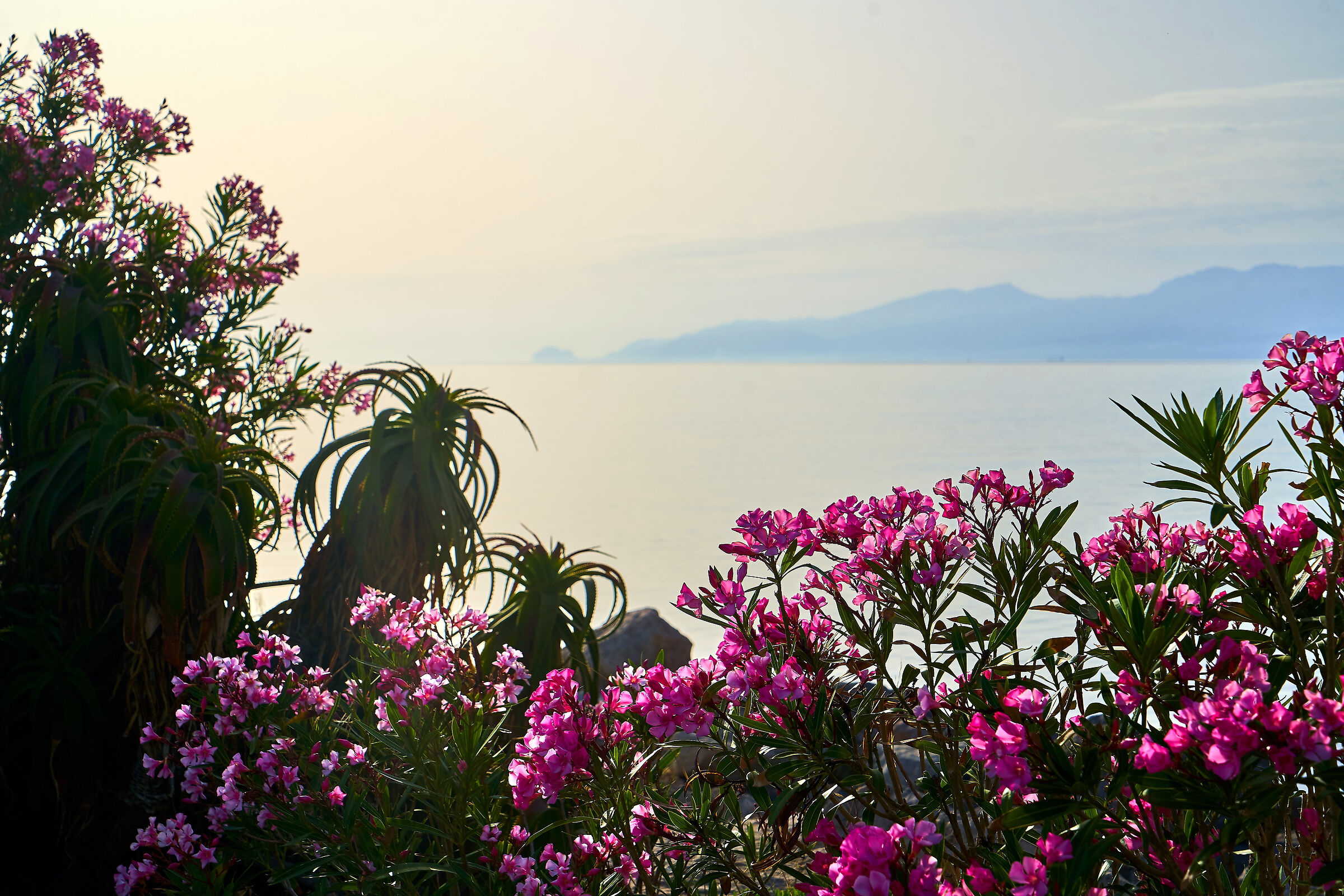 San Nicola L'arena: aspettando l' estate