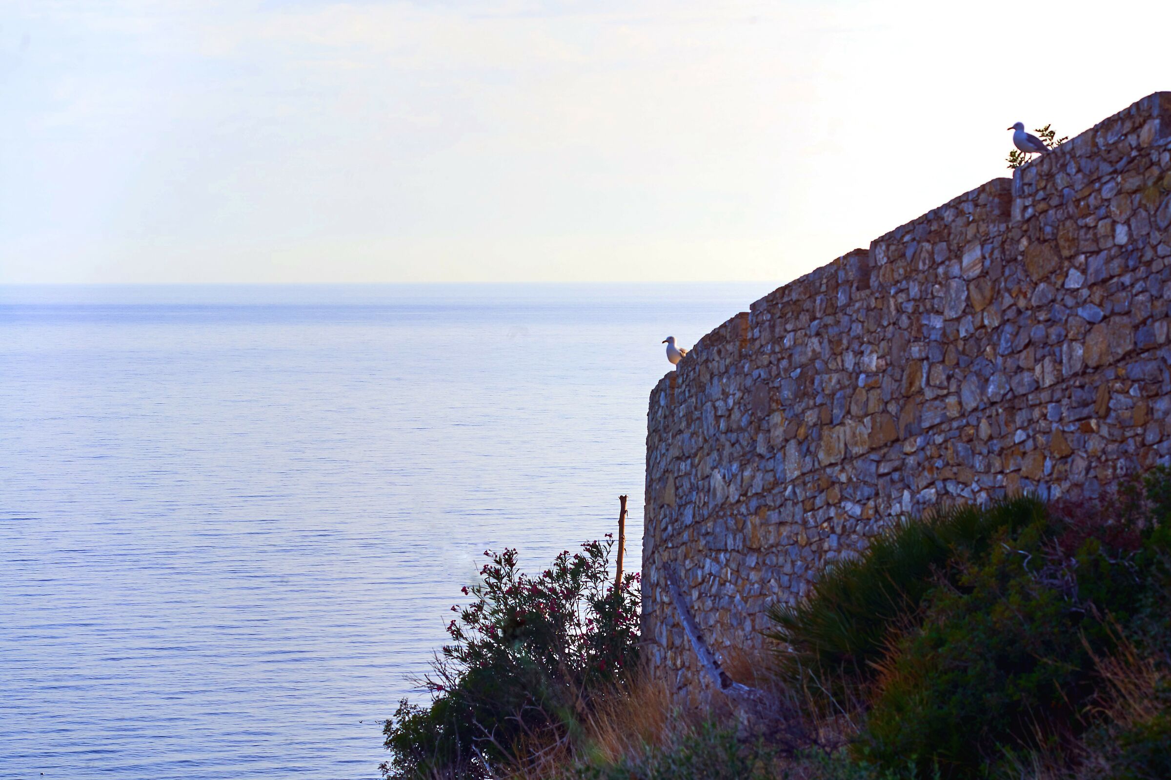 San Nicola L'arena: I guardiani