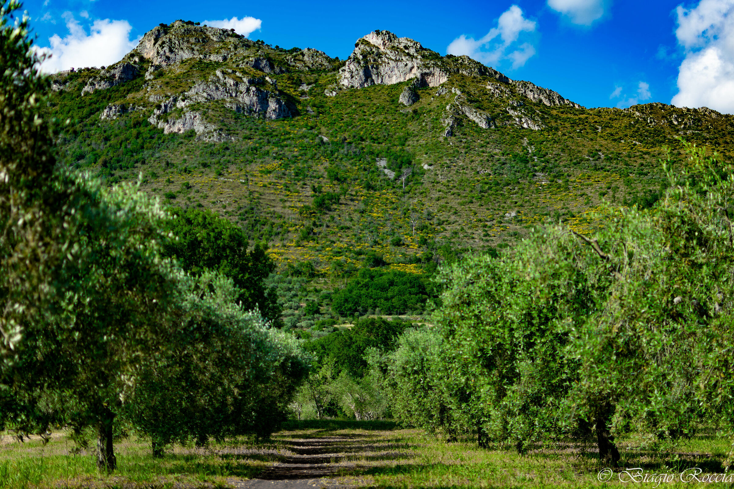 Mount Asprano (Castrocielo)