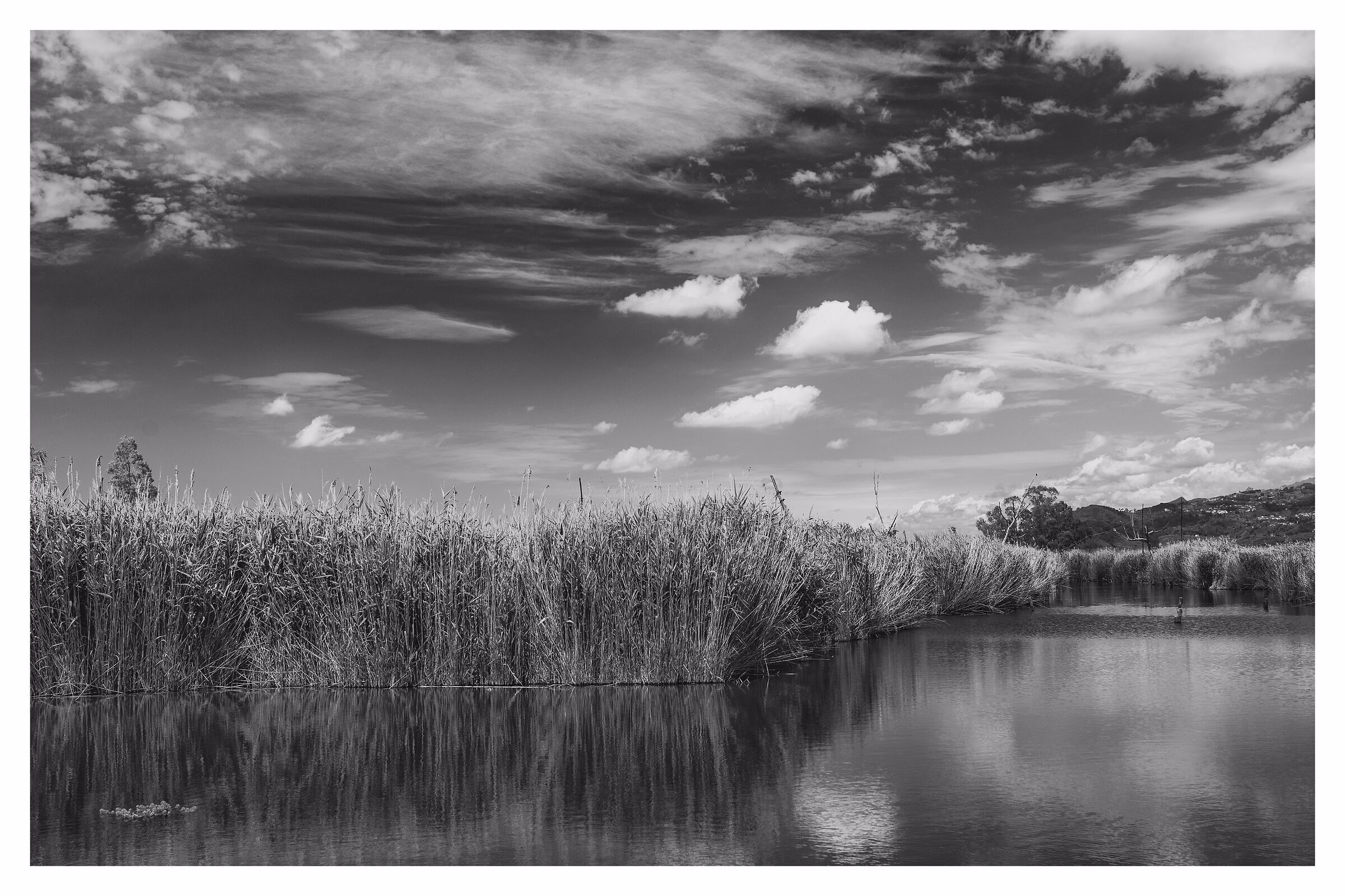 The Sky of Massaciuccoli