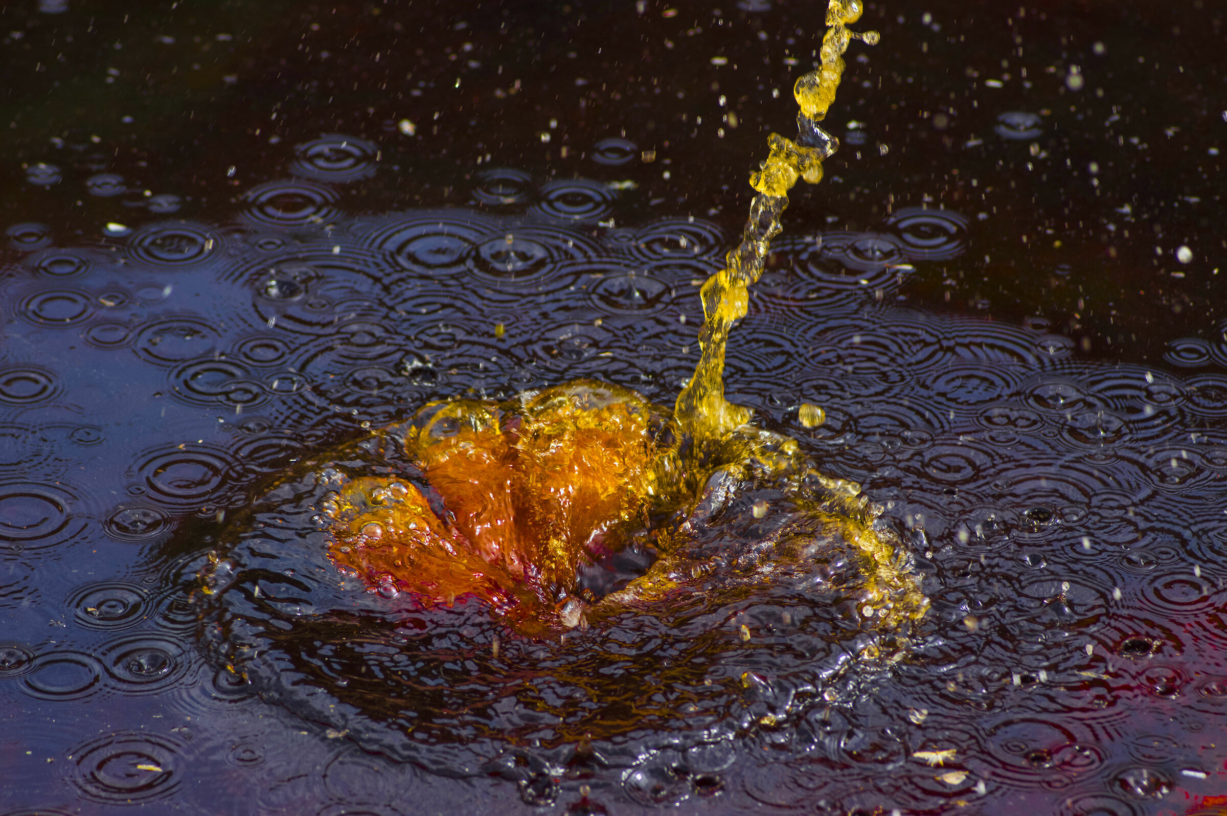 Splash - Rio Tinto