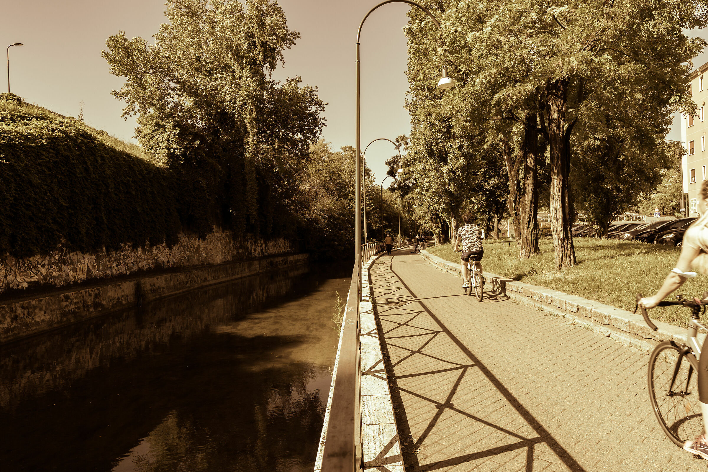 Seguendo le linee in bicicletta