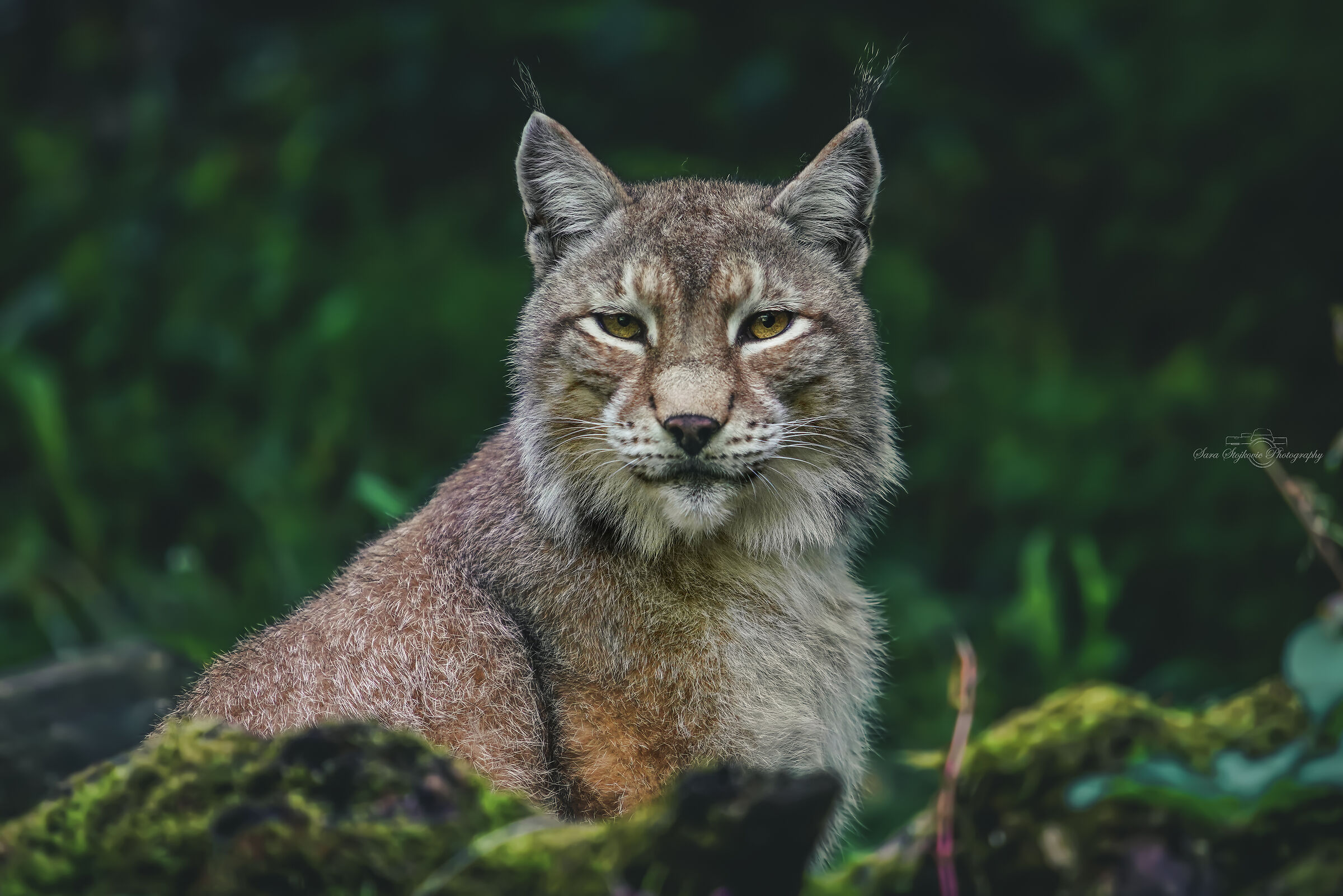 A tu per tu con la natura...