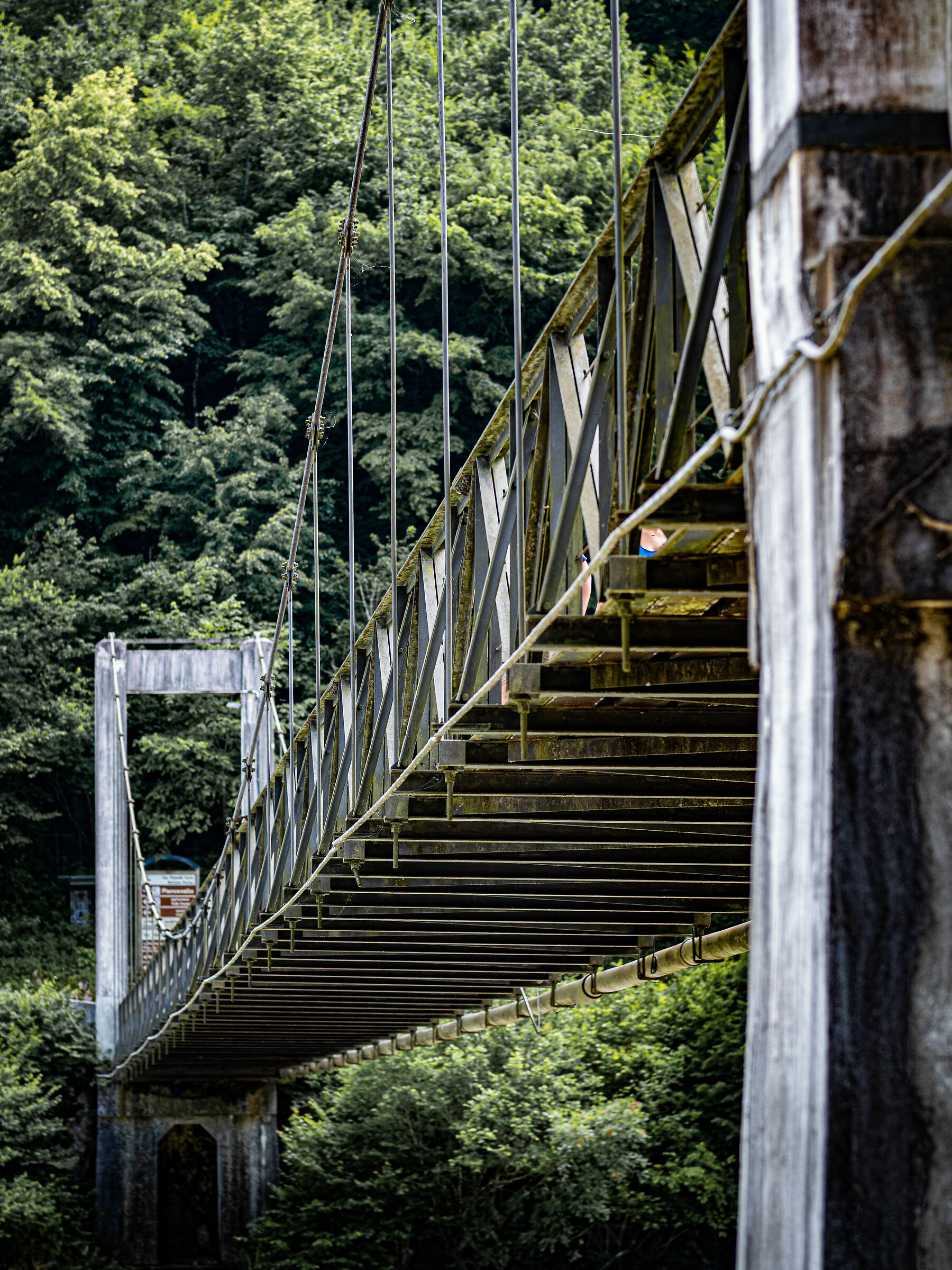 Bridge