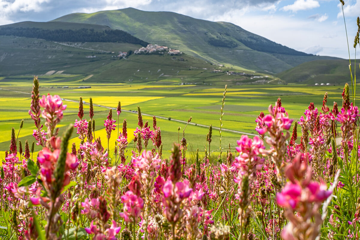 Castelluccio 2020
