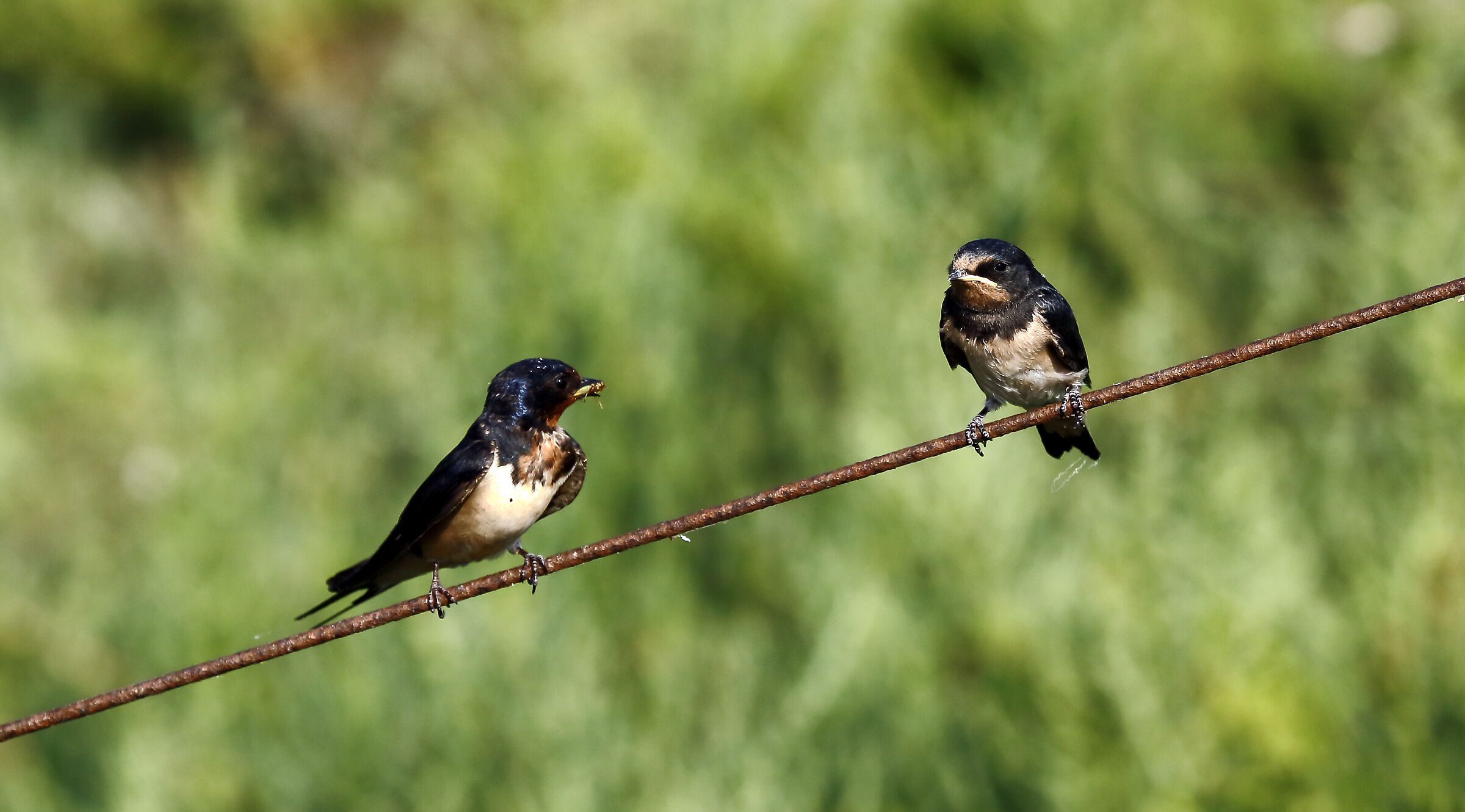 Un regalo per te....