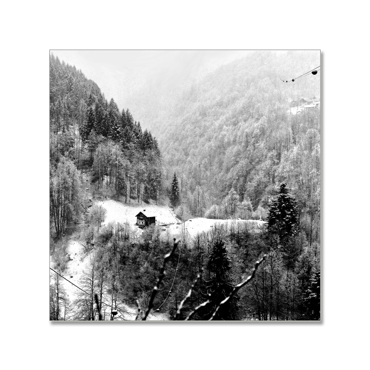 Sotto la prima neve.