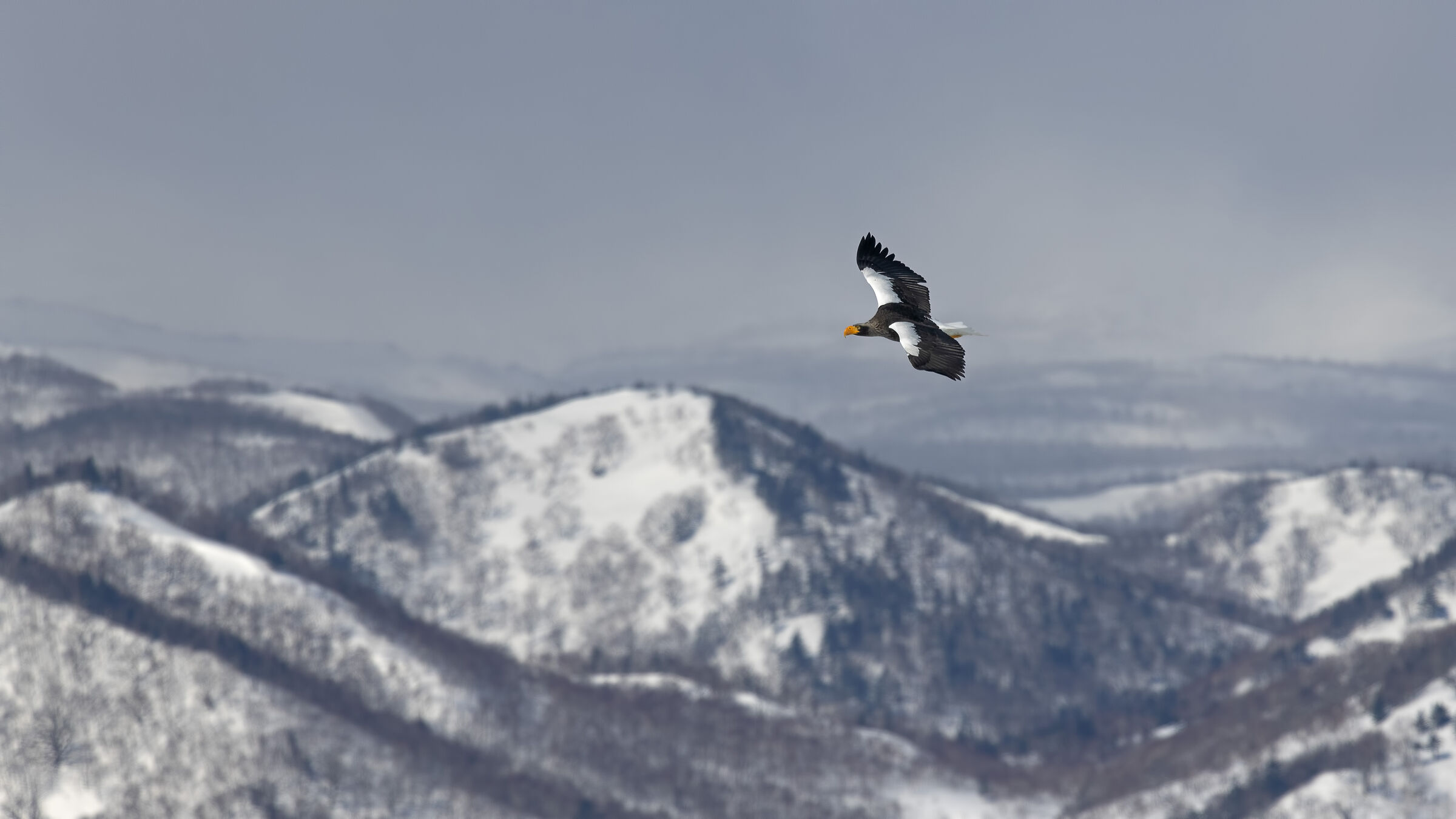 In volo sull'Hokkaido