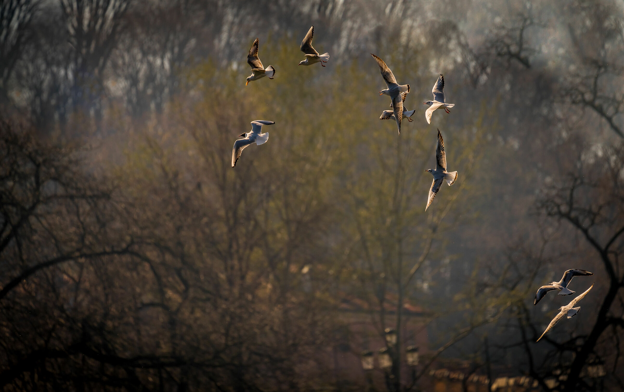 Wait for us so we close the circle......