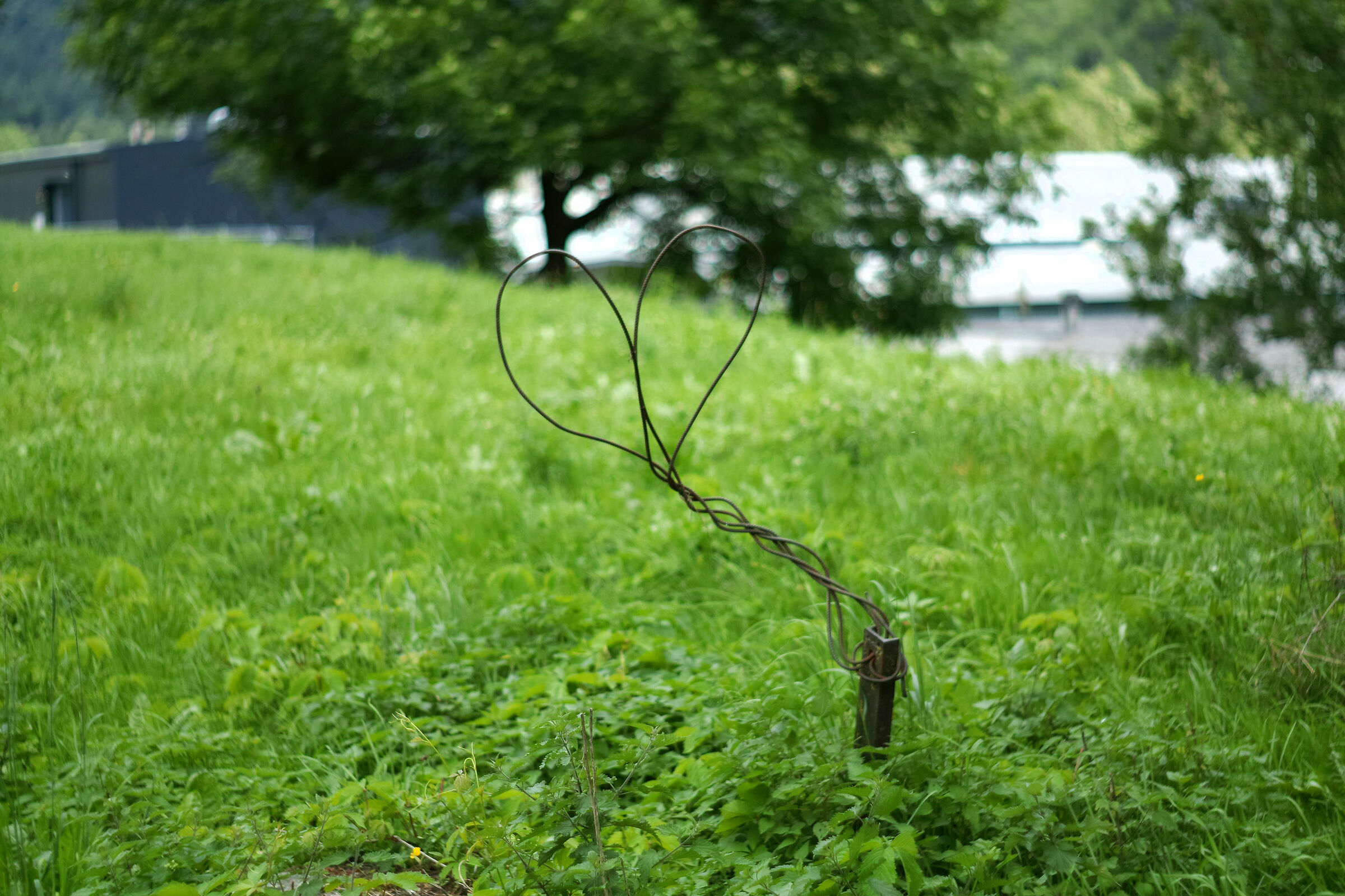 love is in the earth