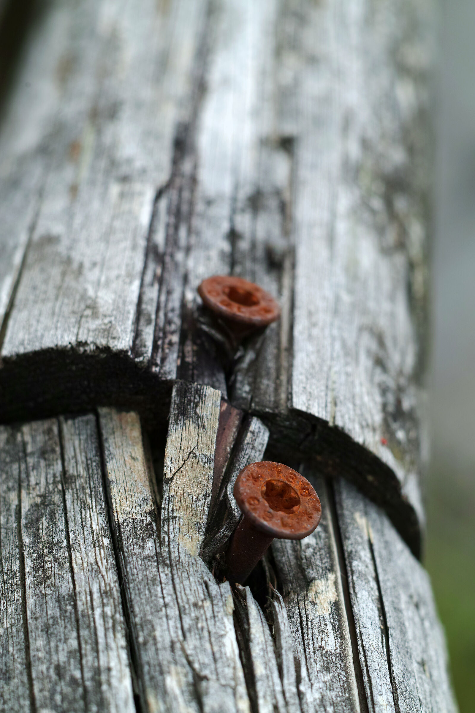 l'unione fa la forza