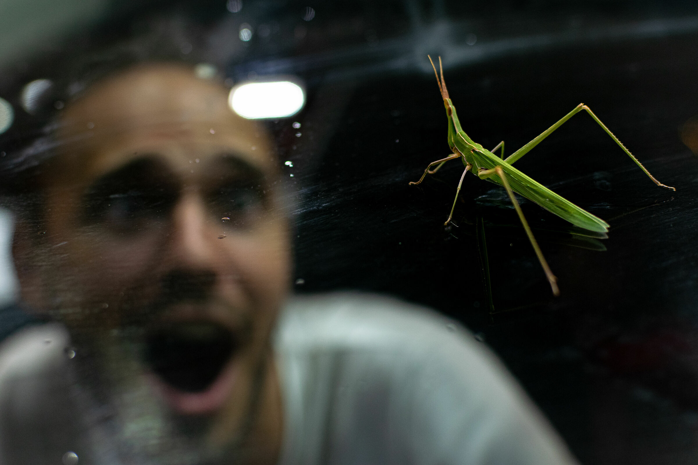 Incontri ravvicinati