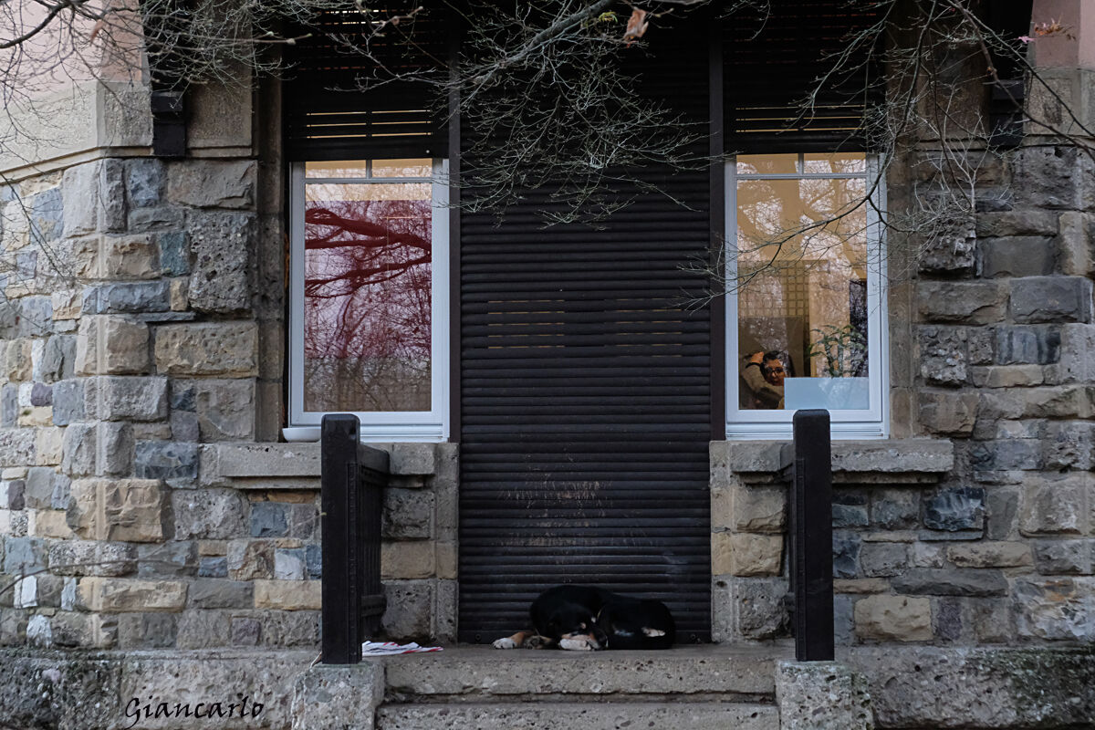 ci penso io ha fare la guardia quando mi sveglio